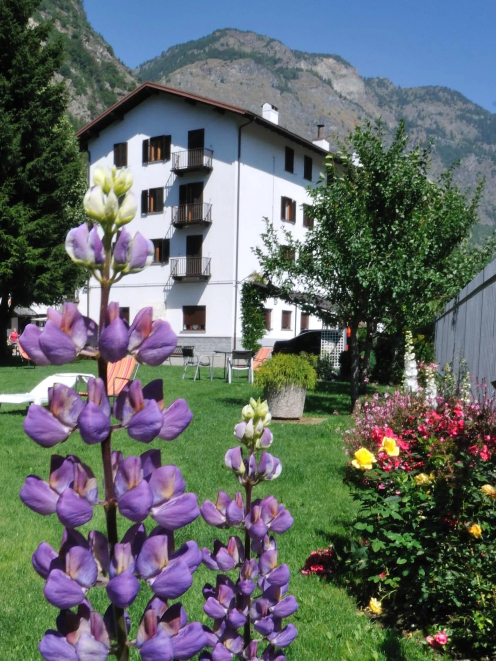 Garden view in Hotel Filey