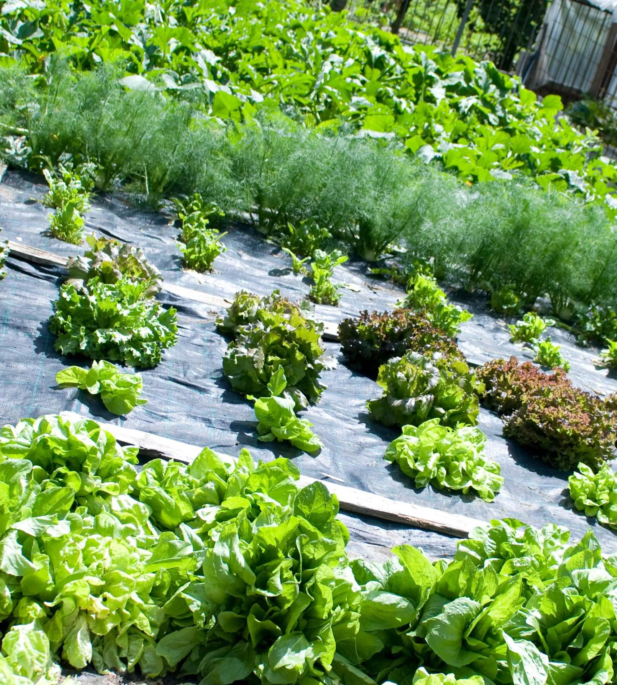 Summer in Hotel Filey