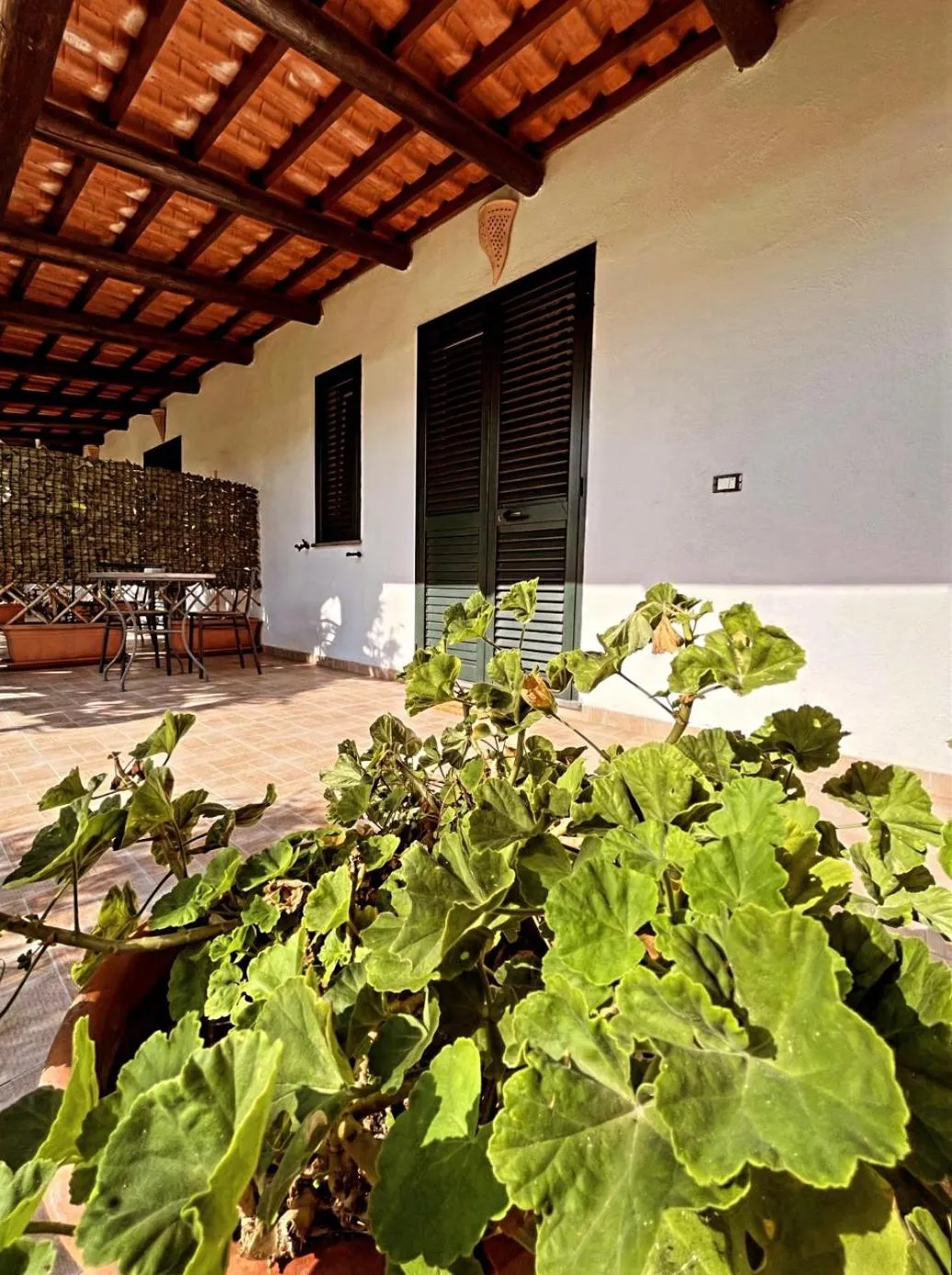 Garden view in Case Vacanze Le Buganville