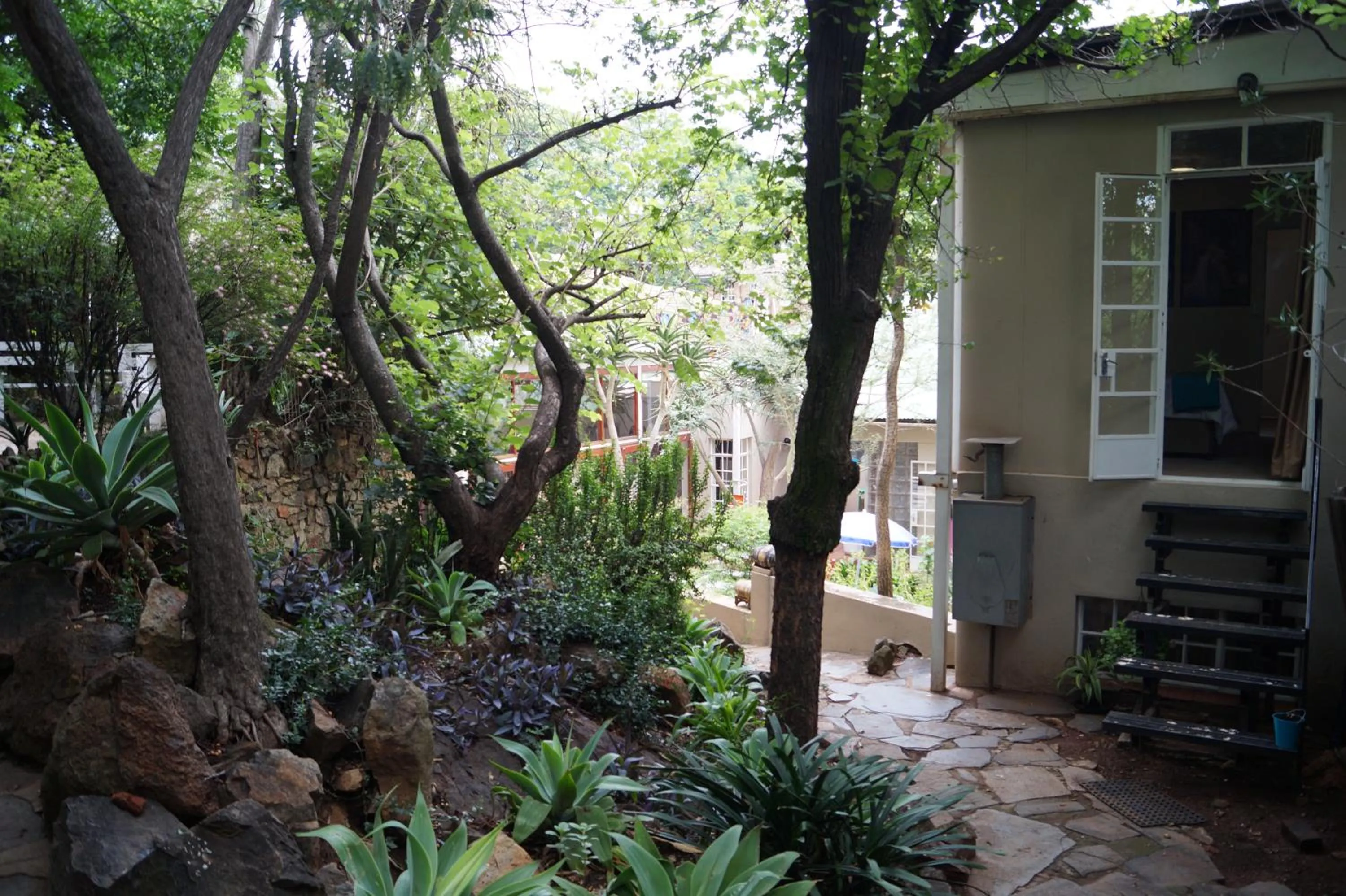 Garden in Westmoreland Lodge