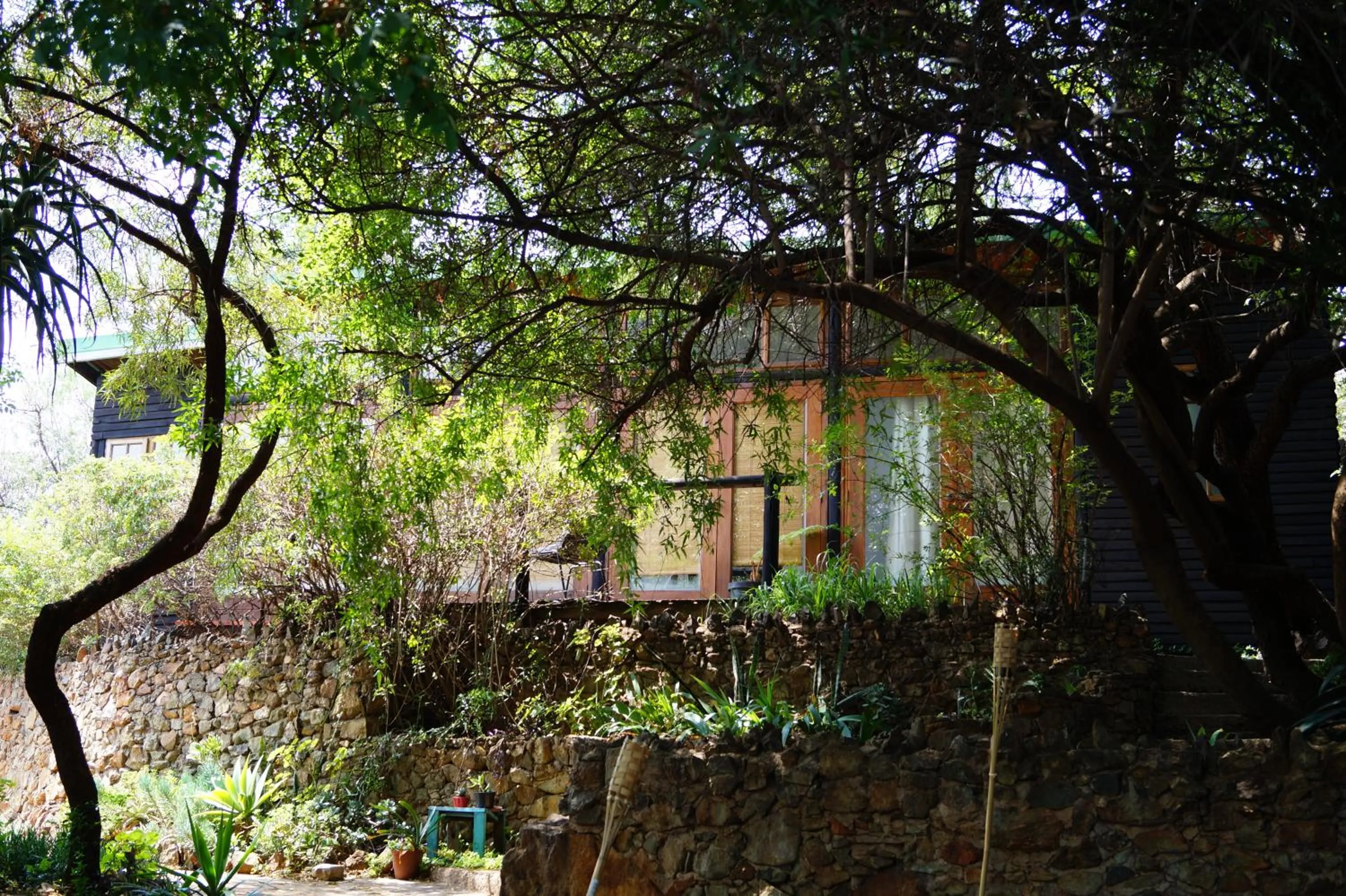 Property building in Westmoreland Lodge