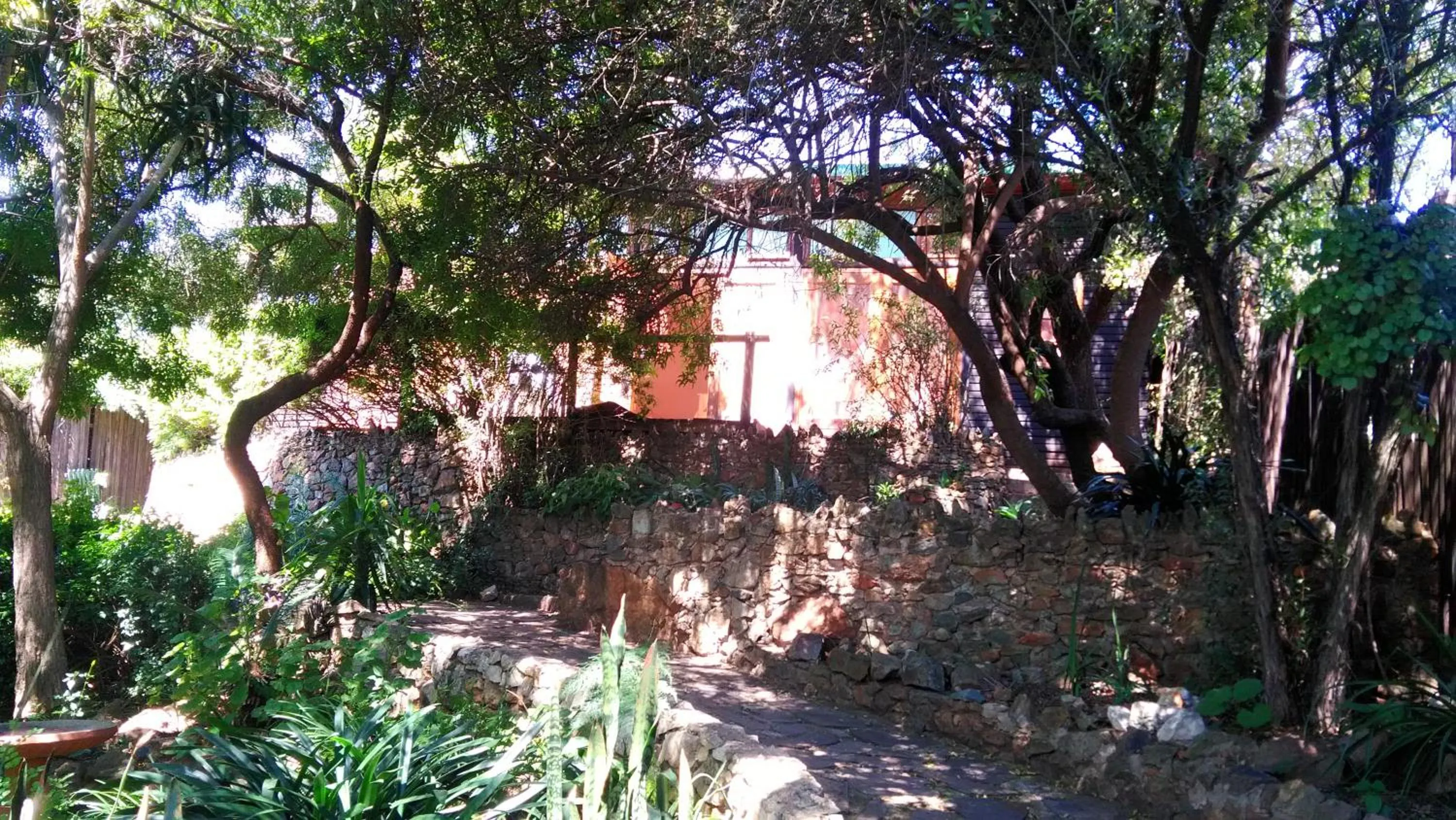 Garden in Westmoreland Lodge