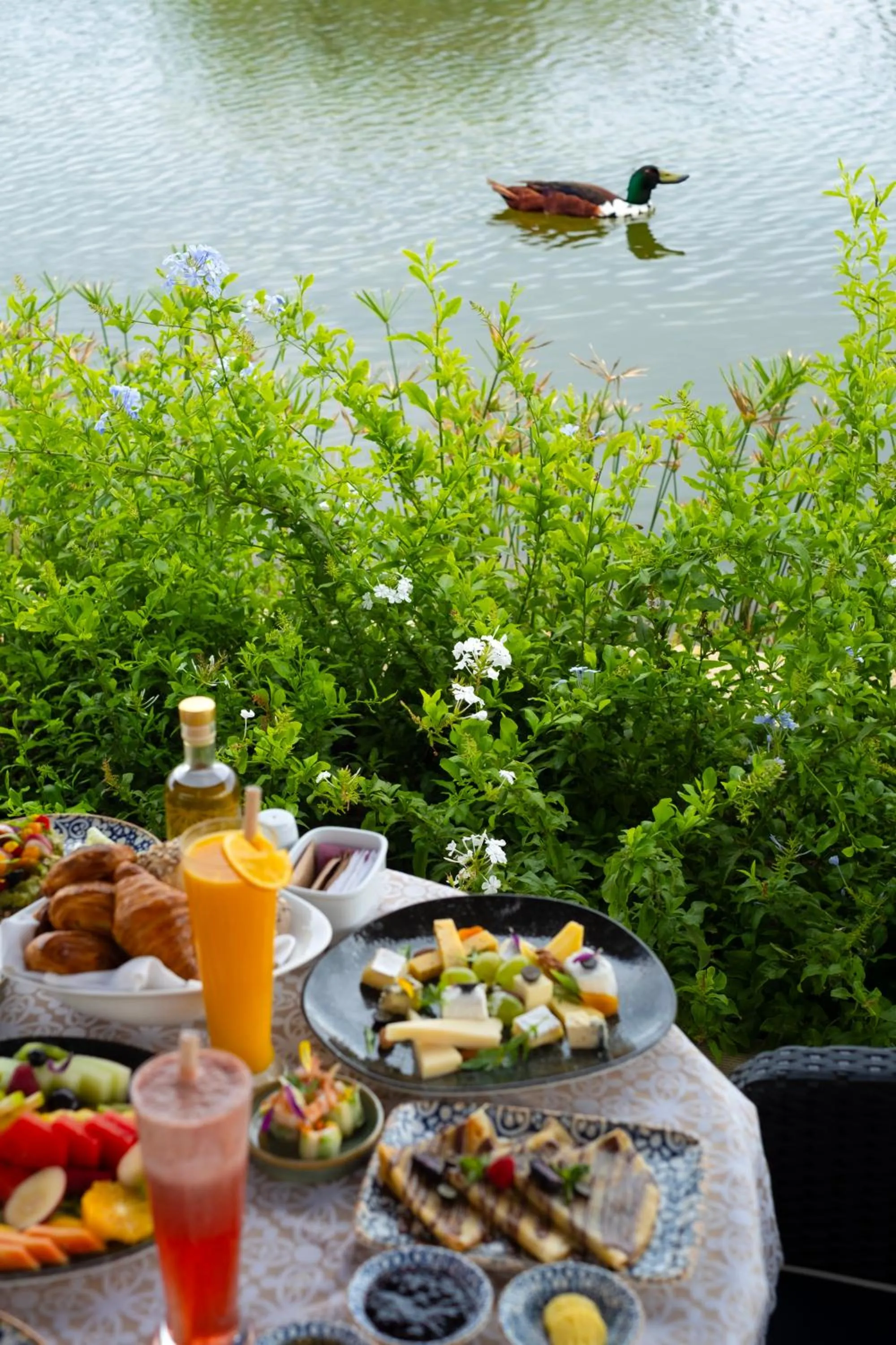 Banyan Tree Tamouda Bay