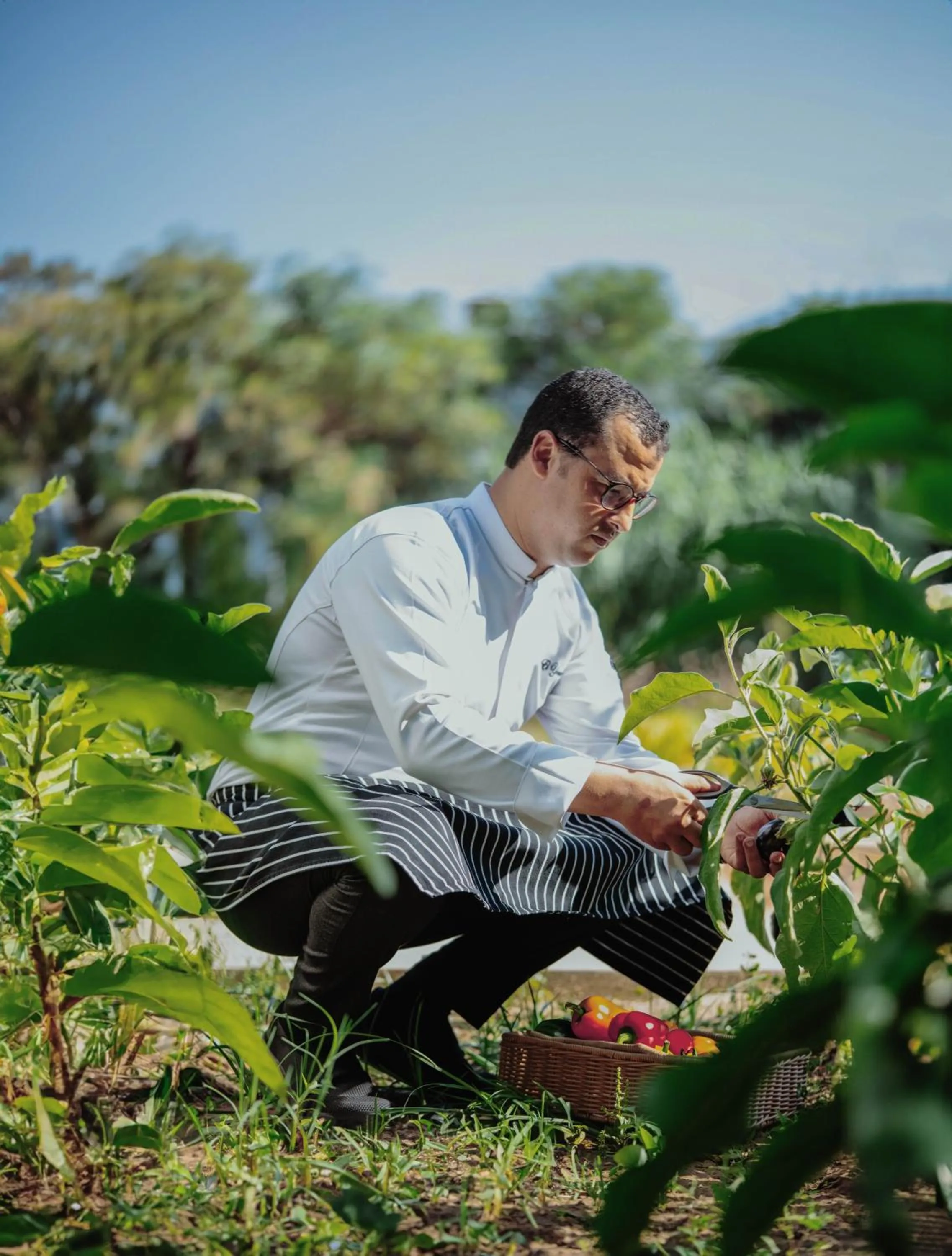 Garden in Banyan Tree Tamouda Bay