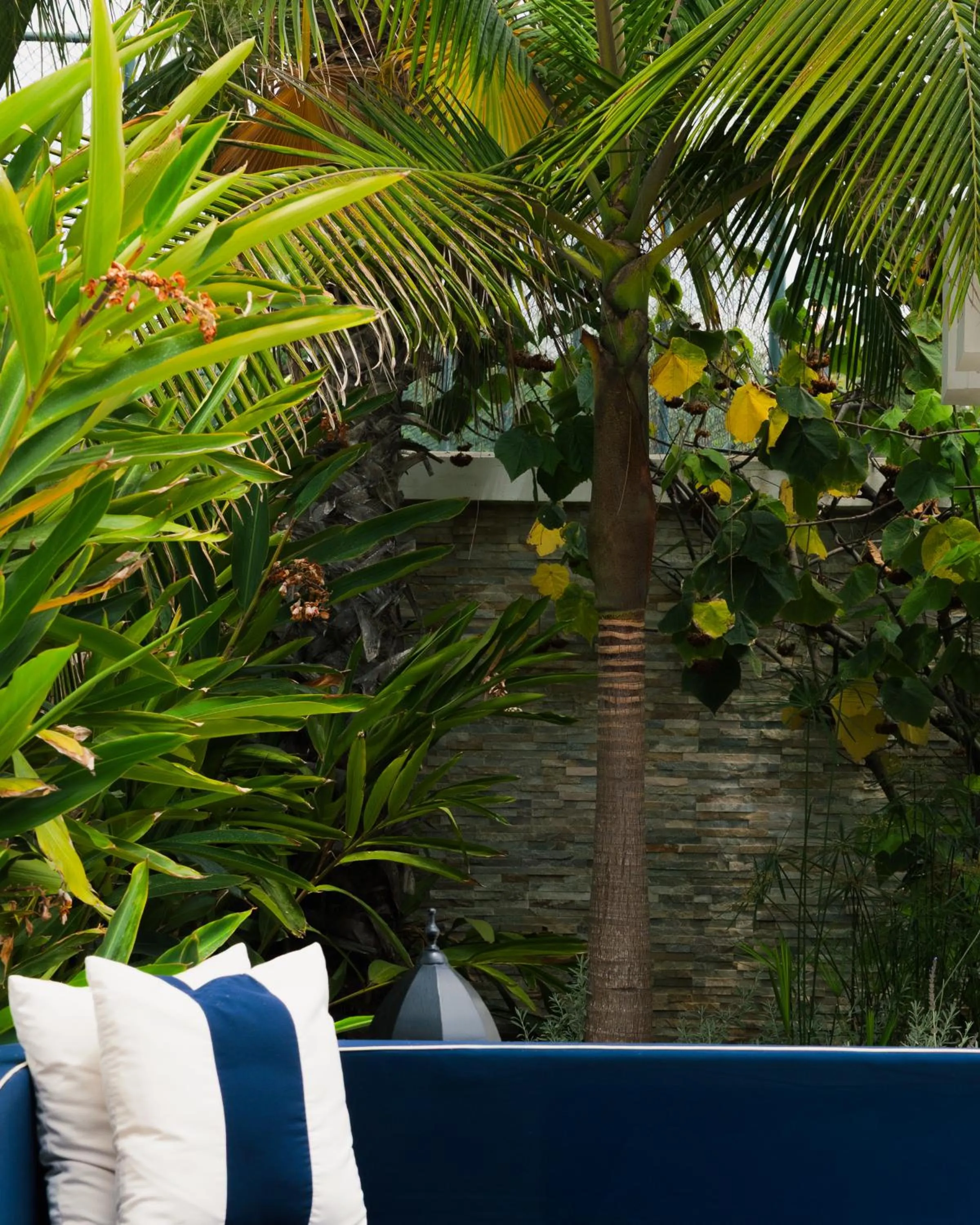 Banyan Tree Tamouda Bay