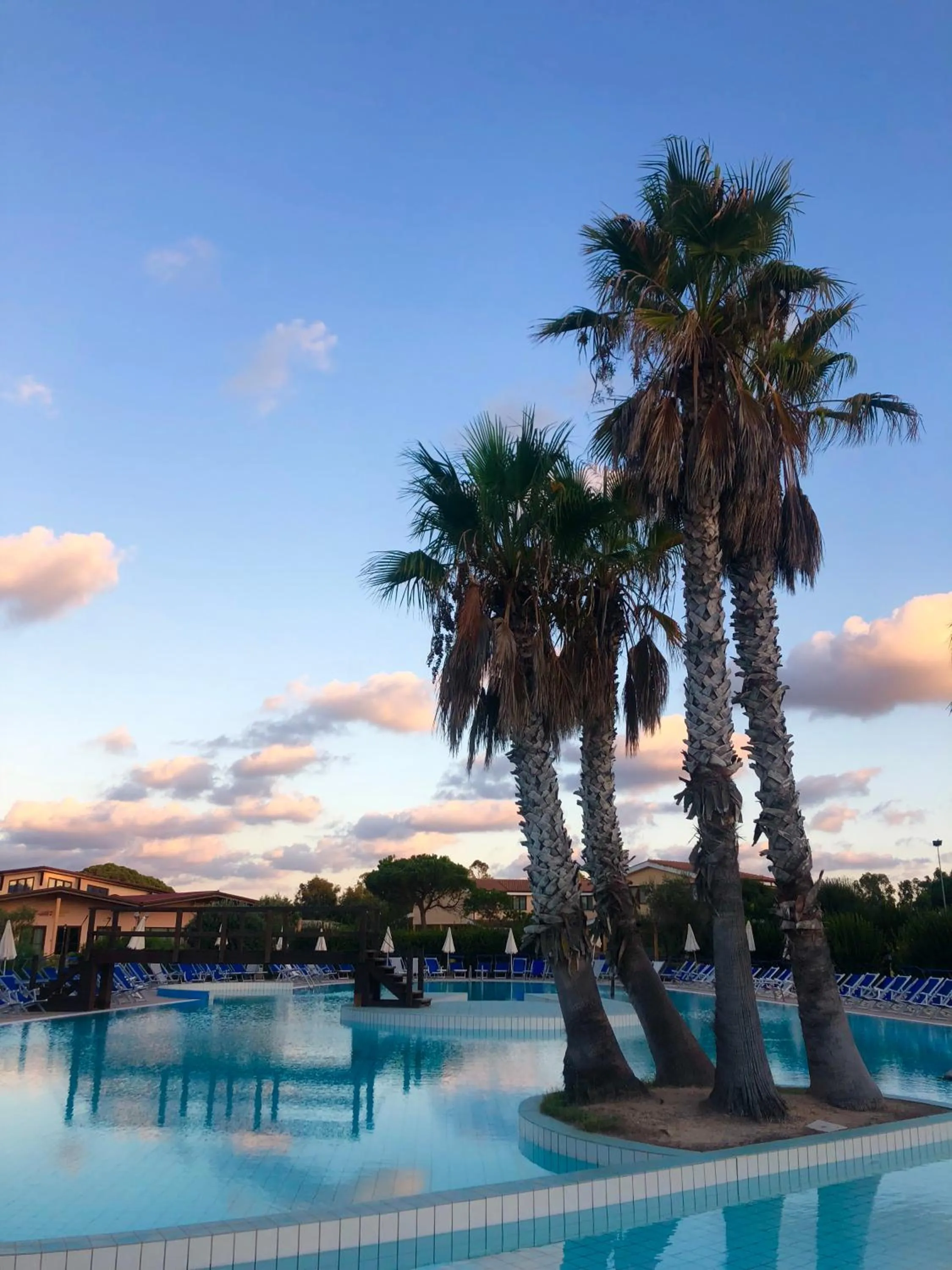 Swimming pool in Horse Country Resort Congress & Spa - Hotel Ribot