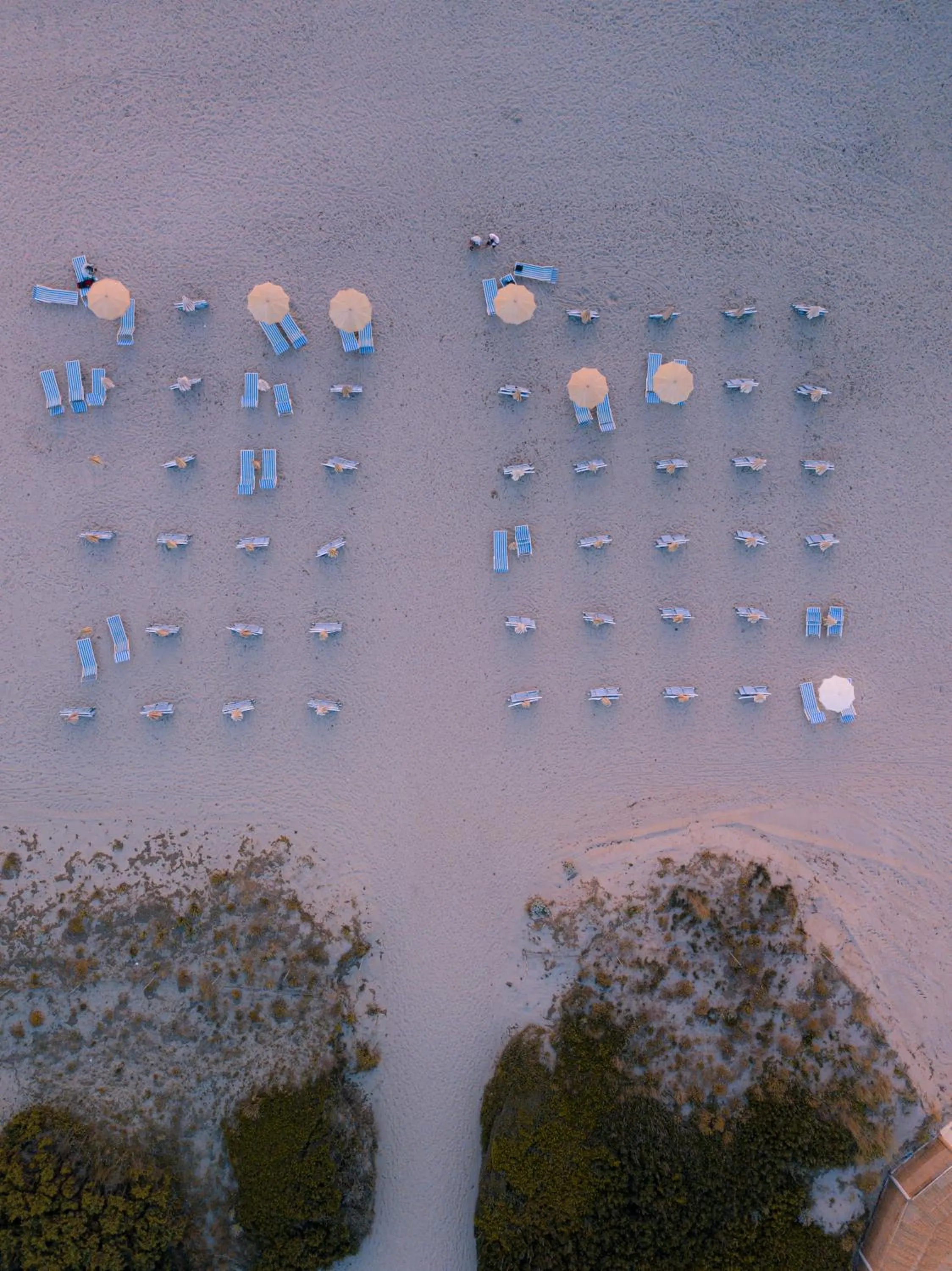 Sports in Horse Country Resort Congress & Spa - Hotel Ribot