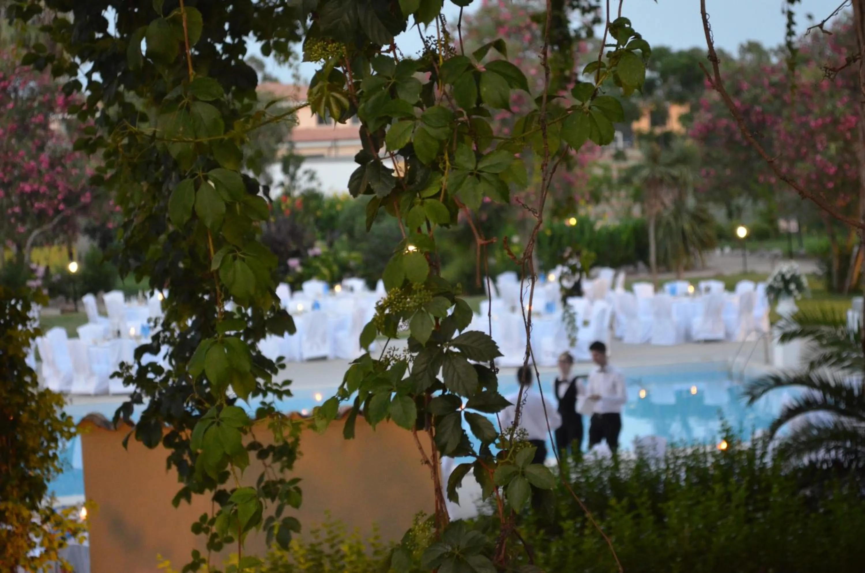 Horse-riding in Horse Country Resort Congress & Spa - Hotel Ribot