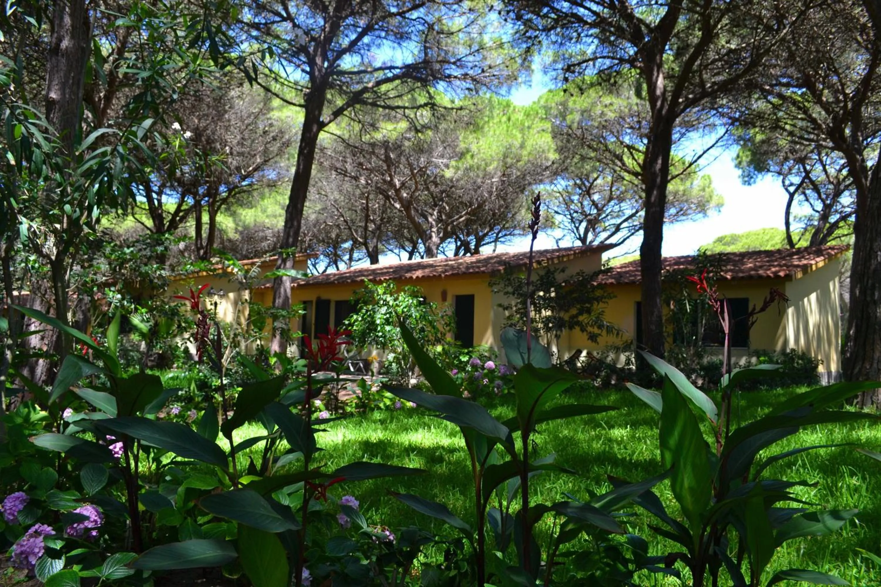 Property building in Horse Country Resort Congress & Spa - Hotel Ribot