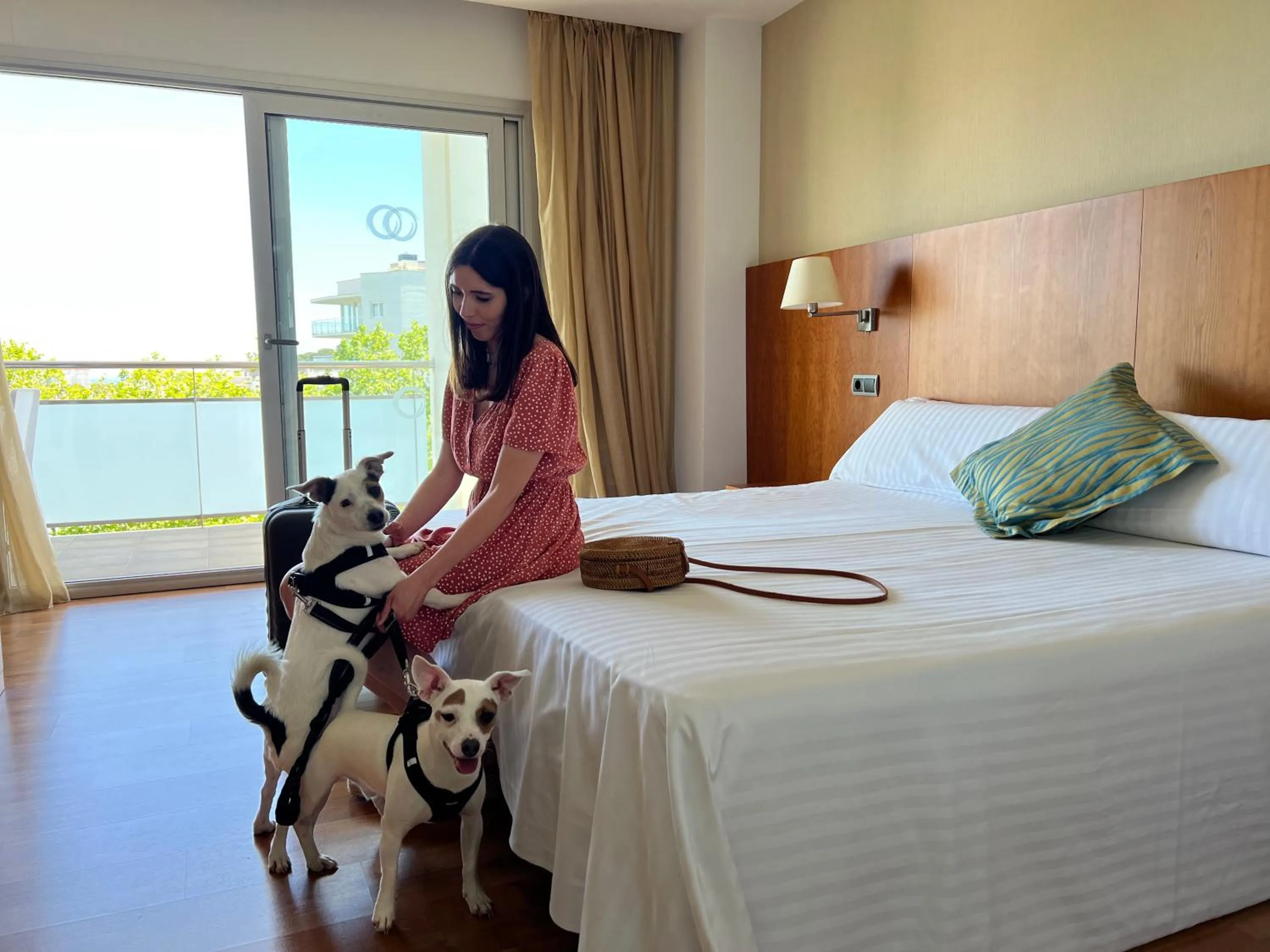 Pets, Bed in RVHotels Nautic Park