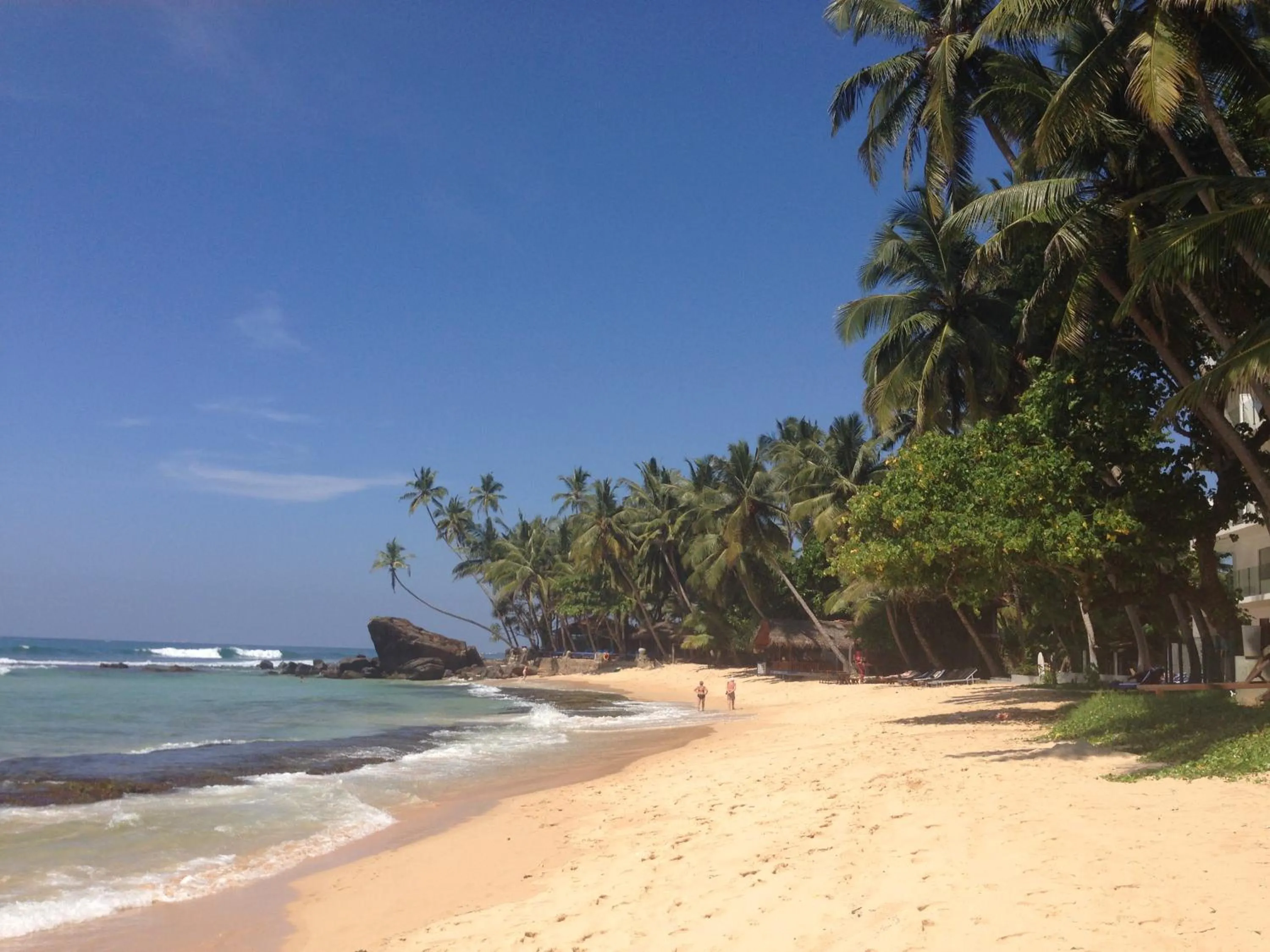 Natural landscape in Sayura Beach Hotel