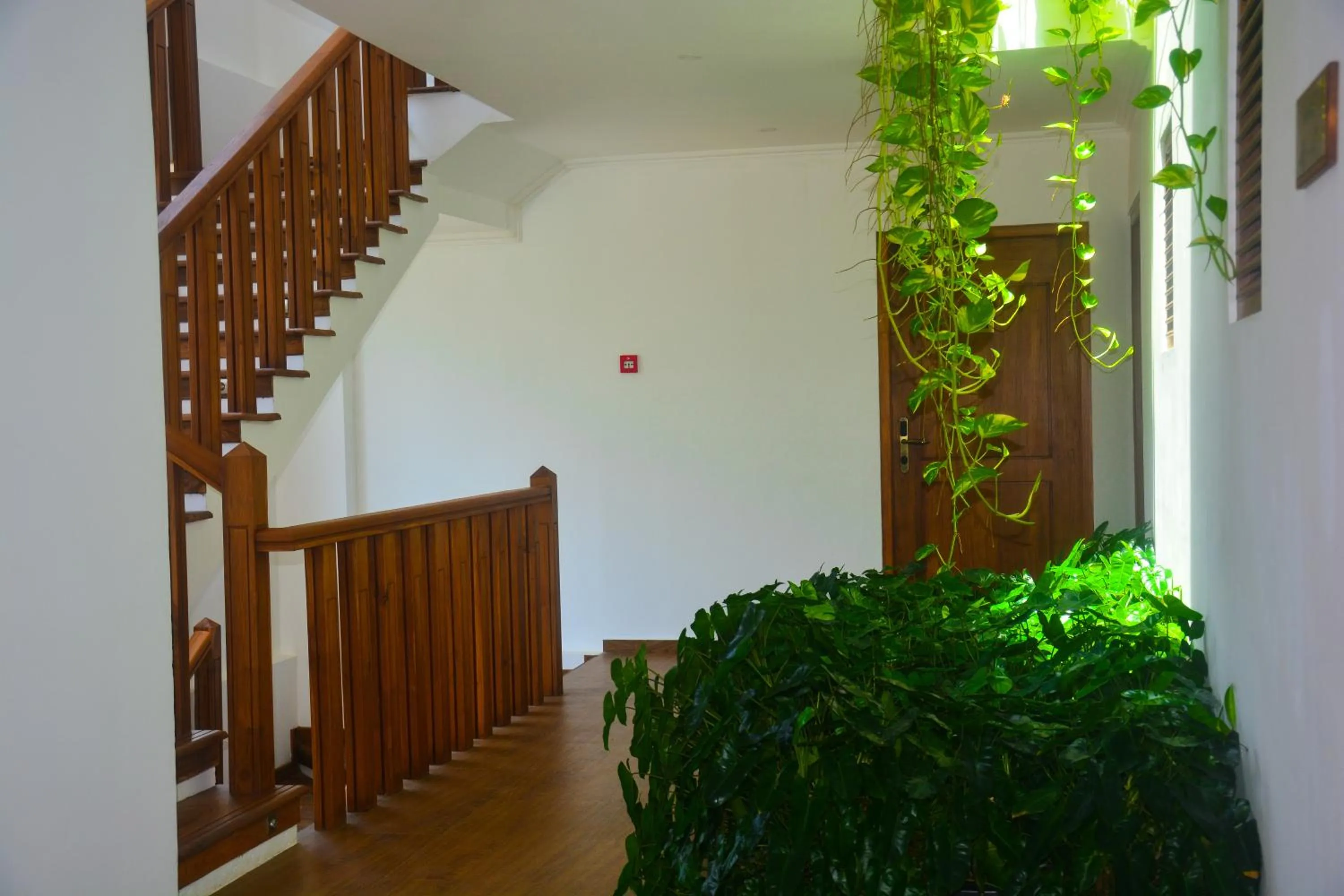 Balcony/Terrace in Sayura Beach Hotel