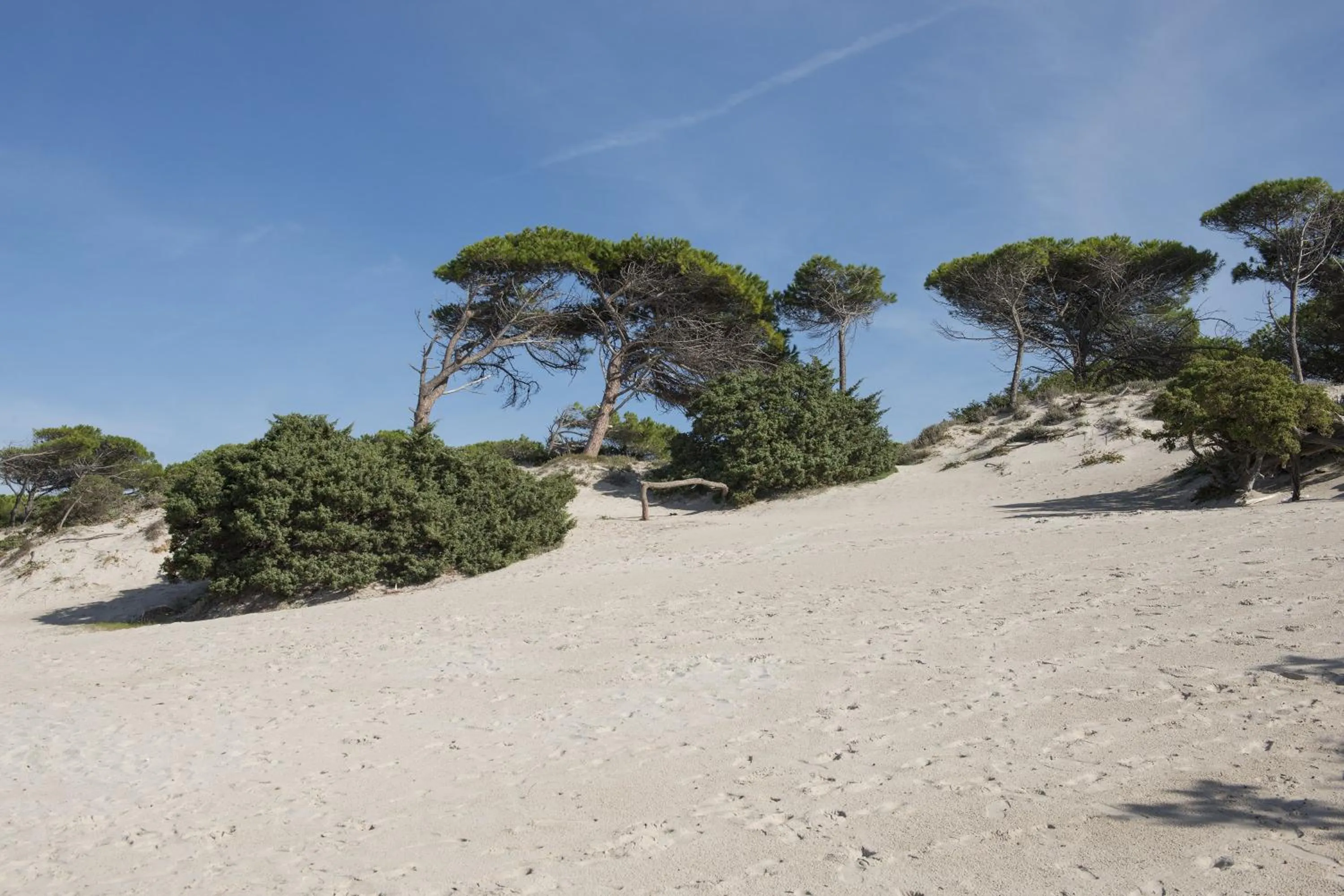 Beach in Hotel Oasis