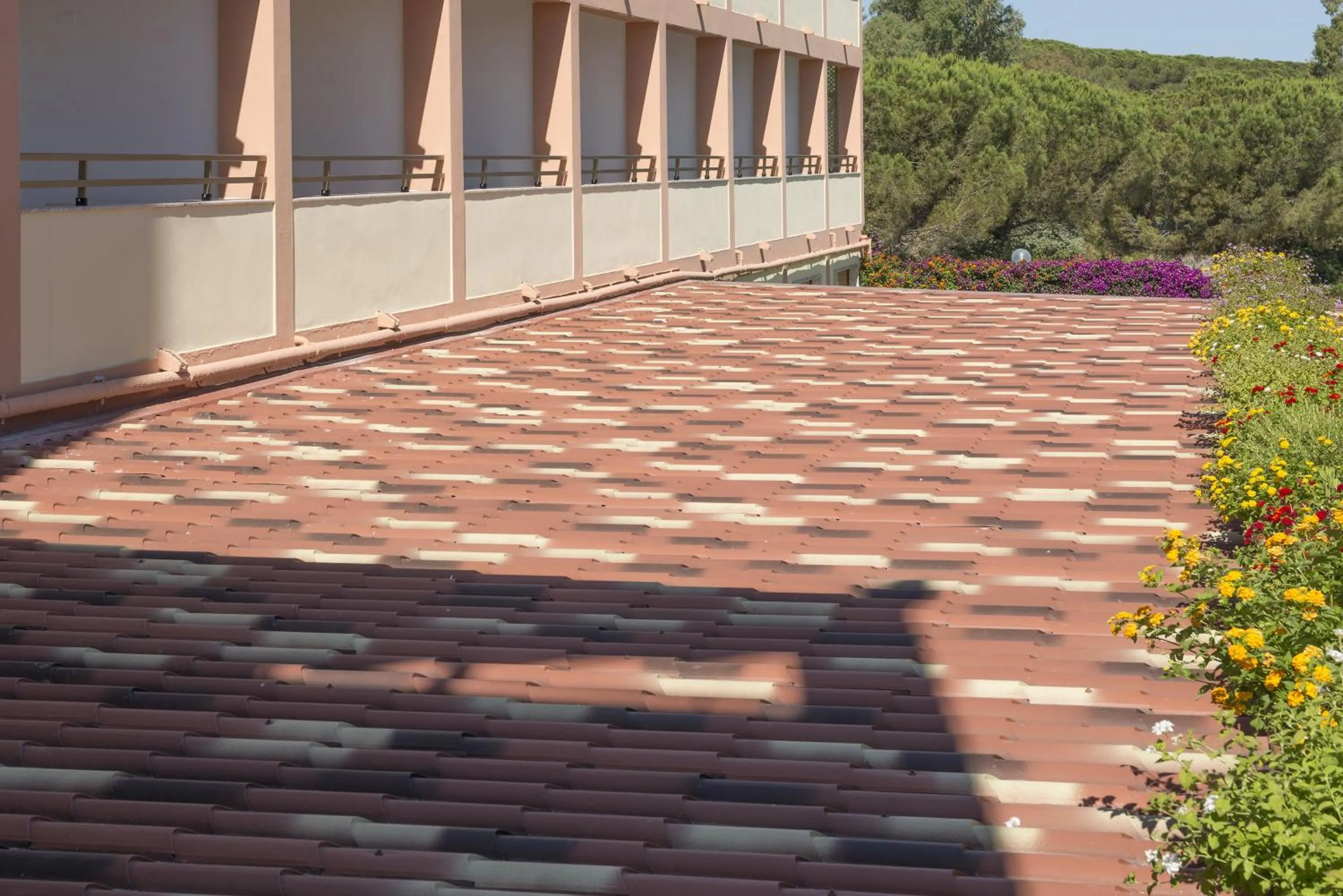 View (from property/room) in Hotel Oasis