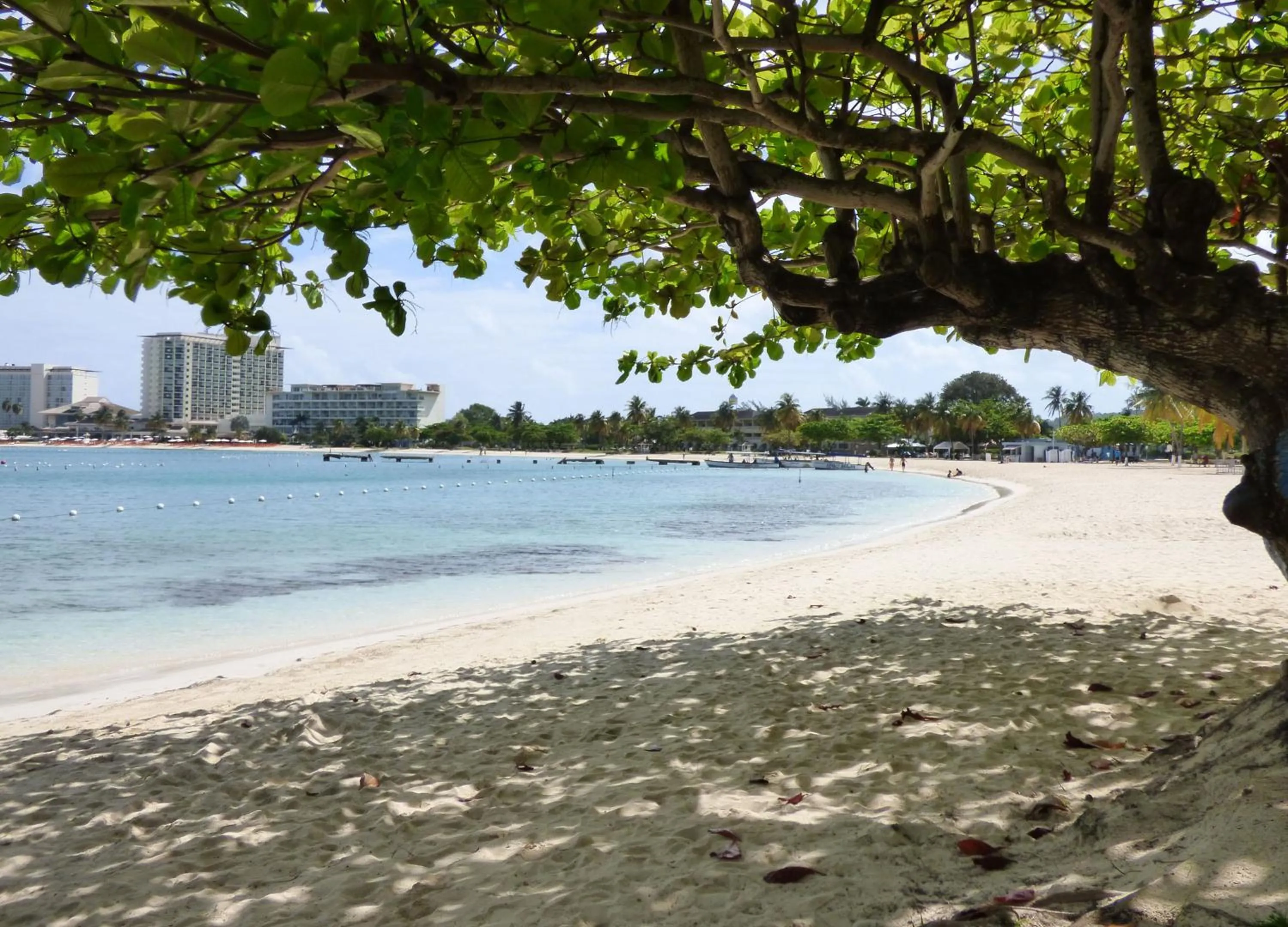 Beach in Beach One Bedroom Suite A29