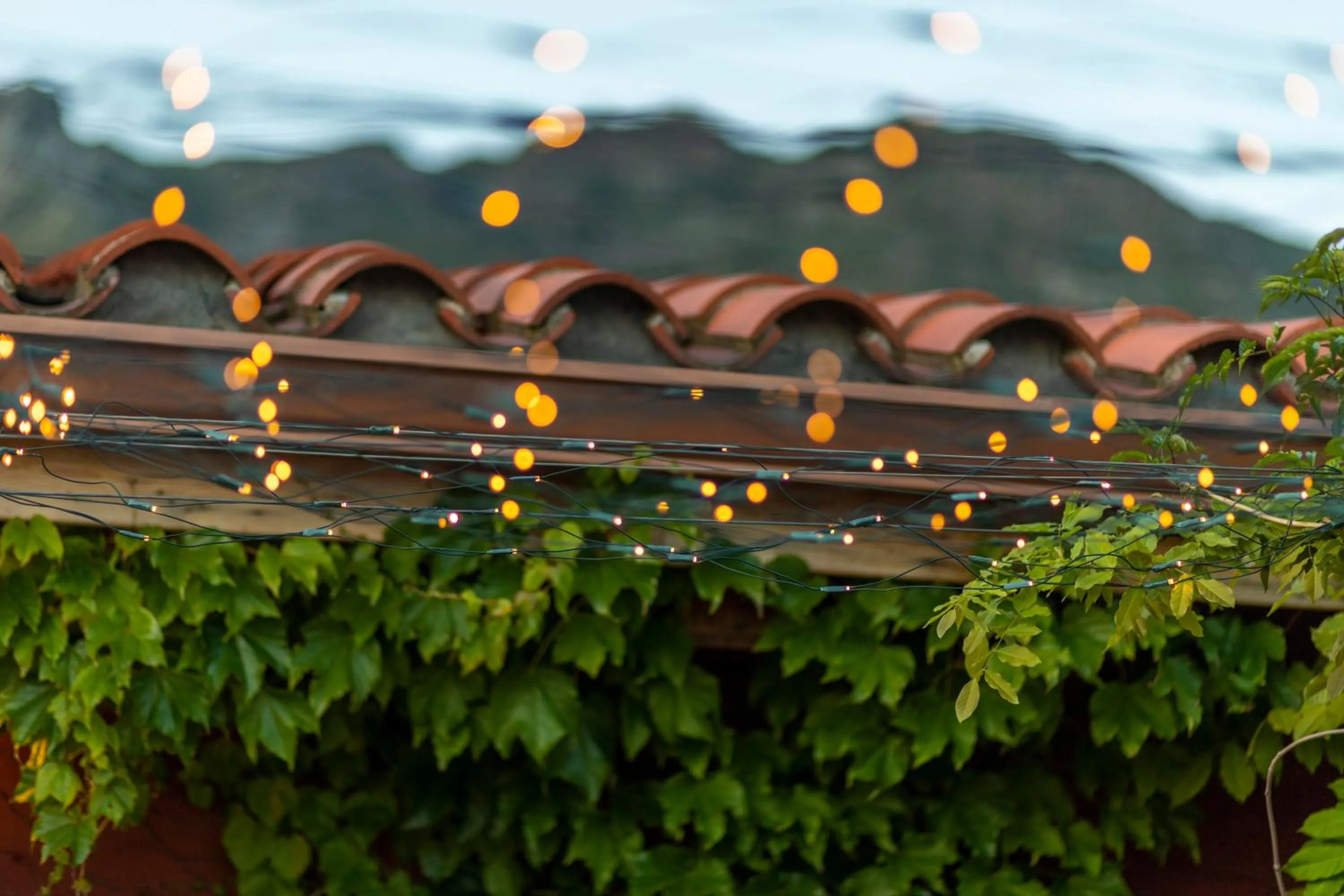 Property building in Hotel Boutique Niu de Sol - Designed for Adults