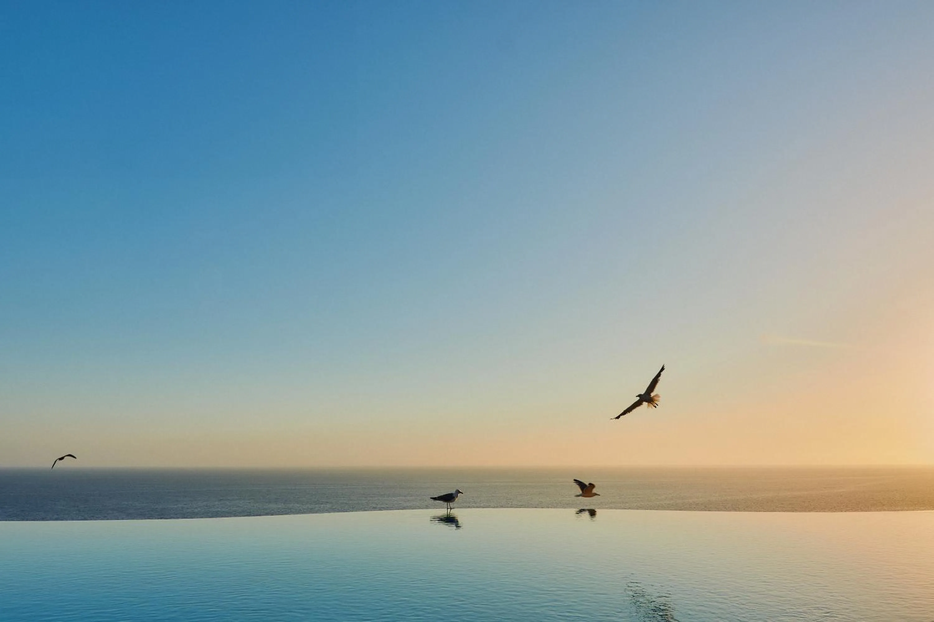 Swimming pool in Gloria Palace Amadores Thalasso & Hotel