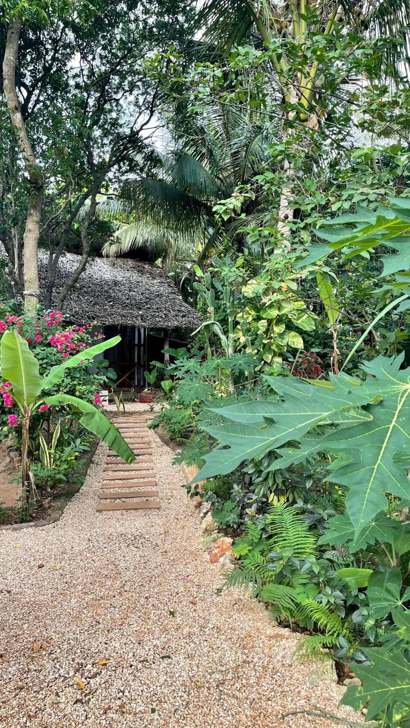 Garden in Atii Garden Bungalows