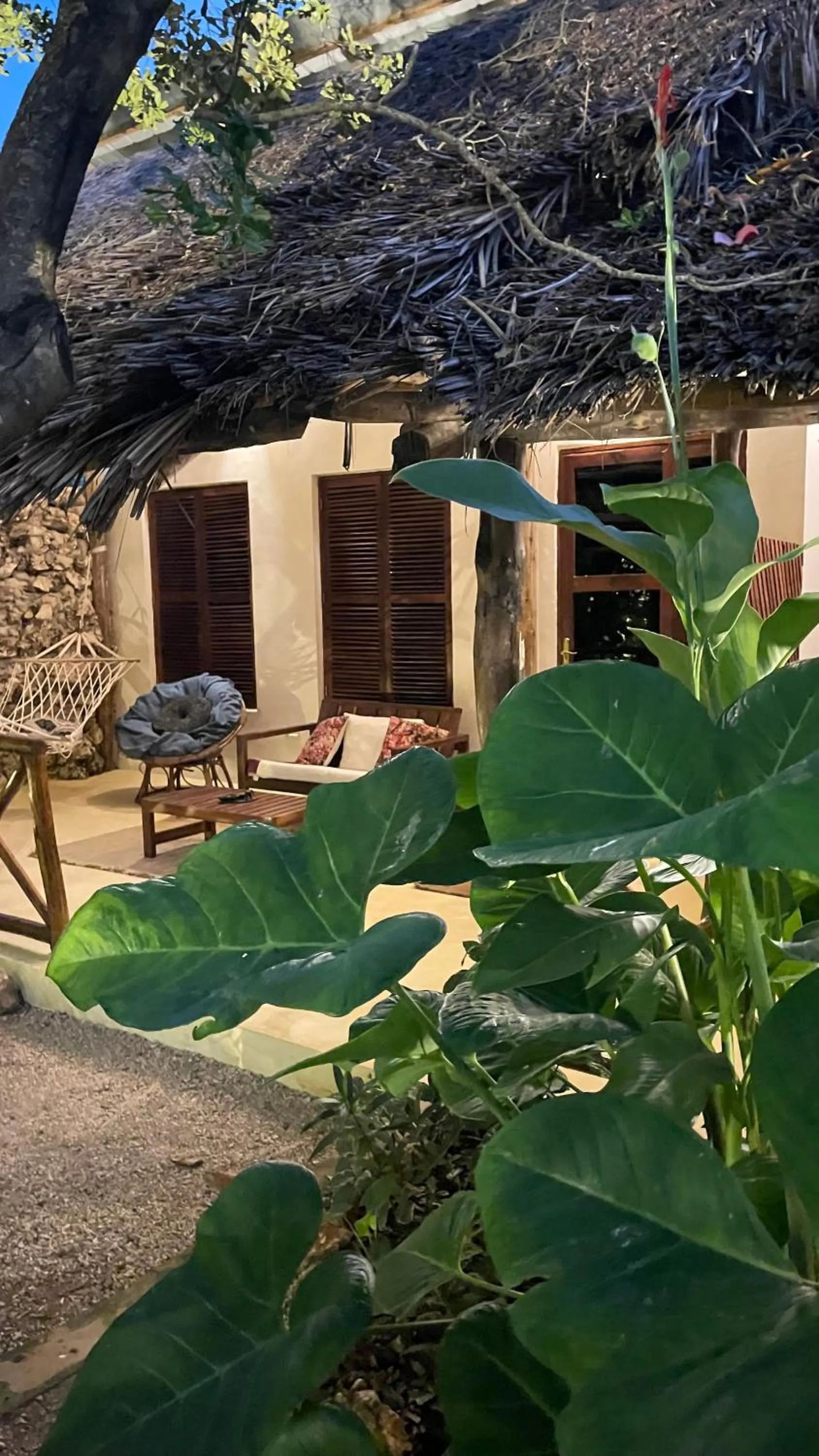 Garden view in Atii Garden Bungalows