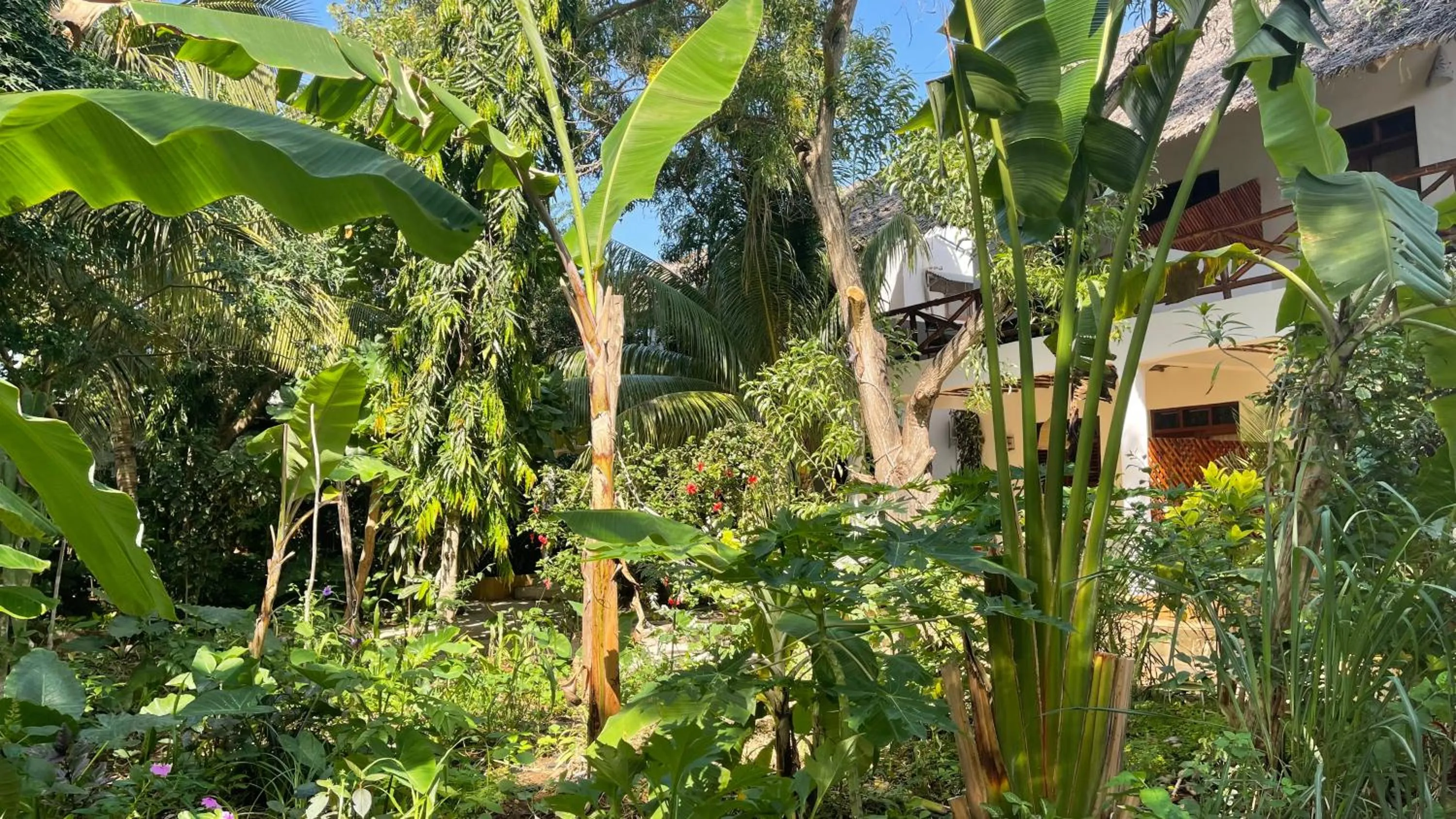 Property building in Atii Garden Bungalows