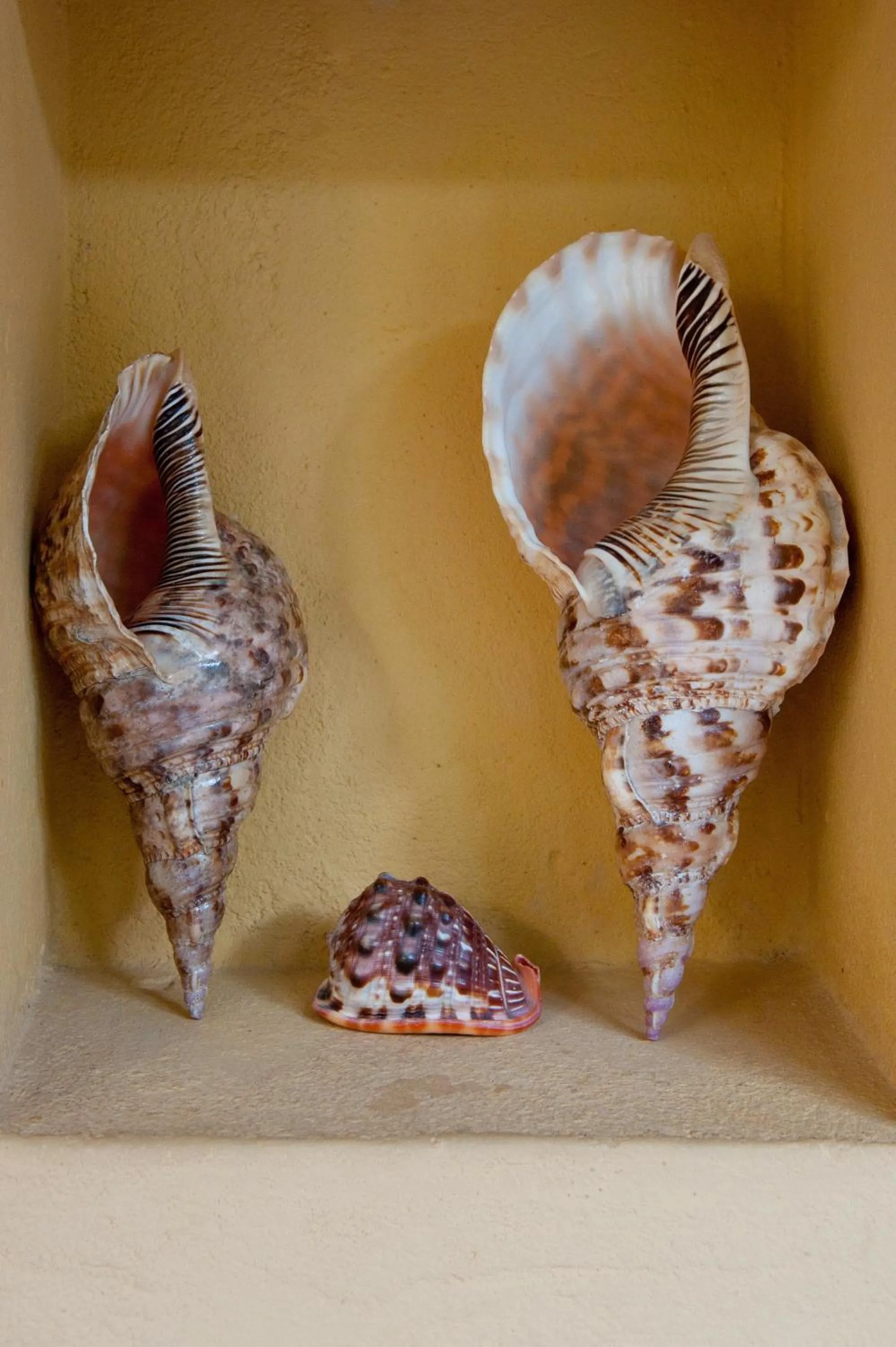 Decorative detail in Sawa Sawa Beach House