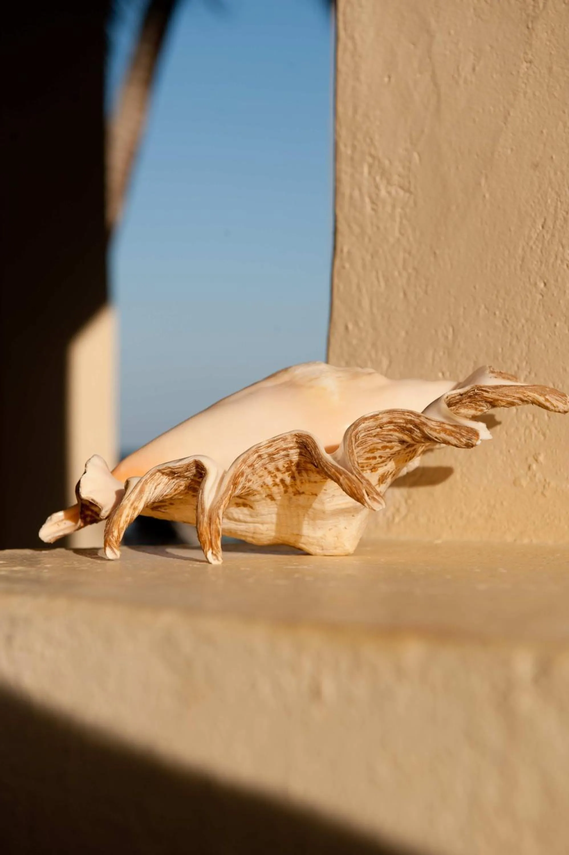 Decorative detail in Sawa Sawa Beach House