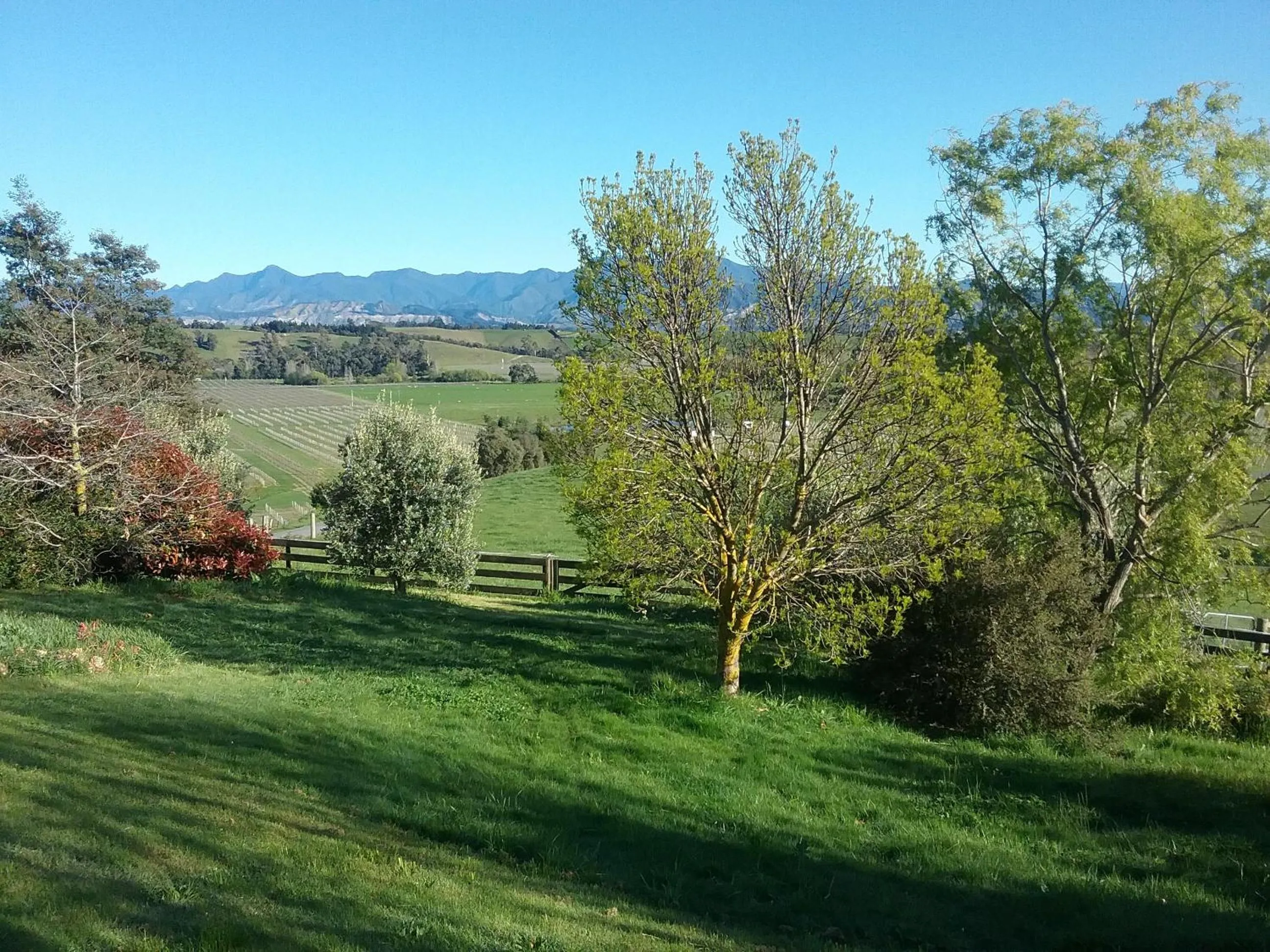 Omaka Heights Countrystay
