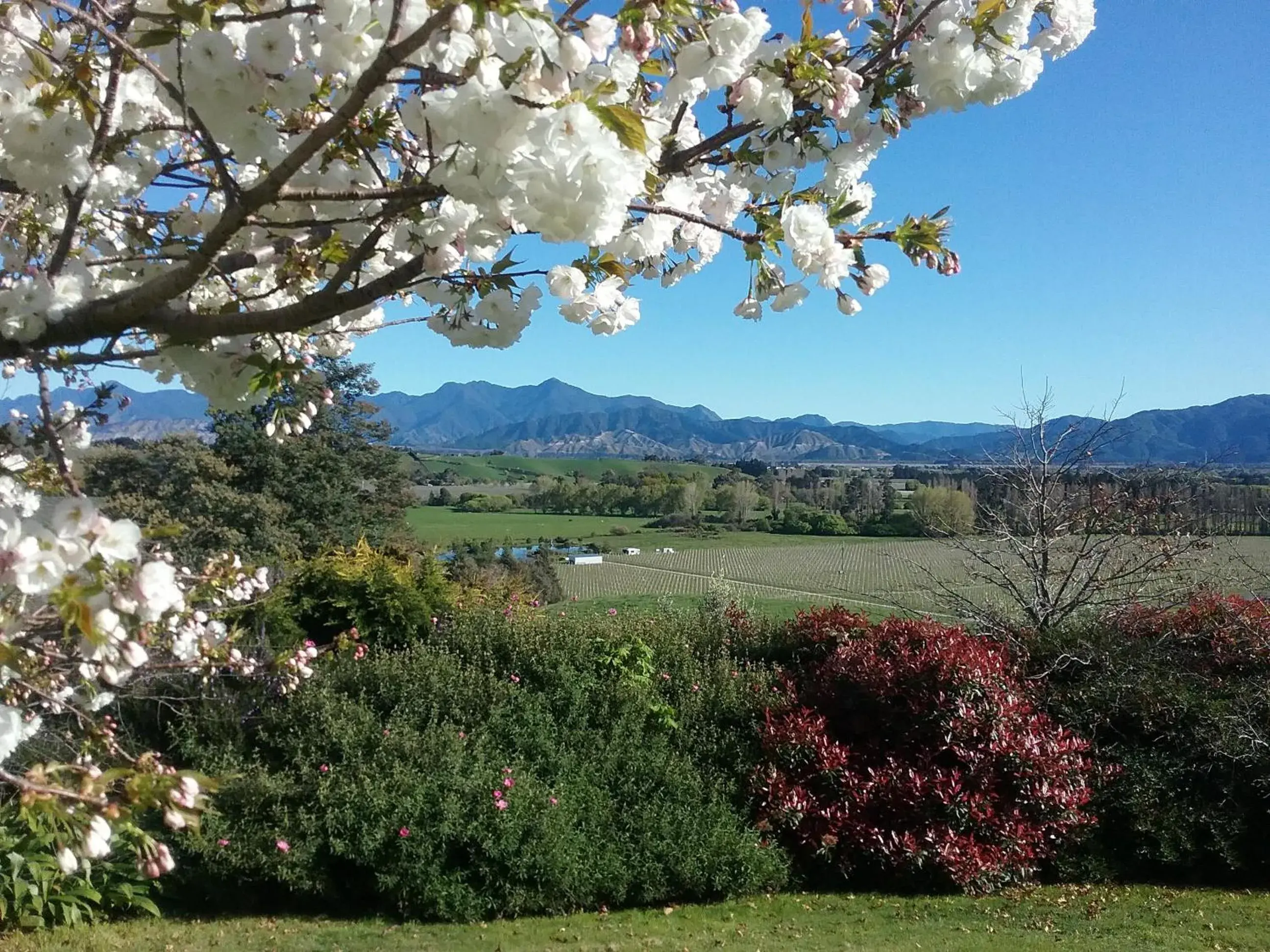 Omaka Heights Countrystay Omaka Heights Countrystay