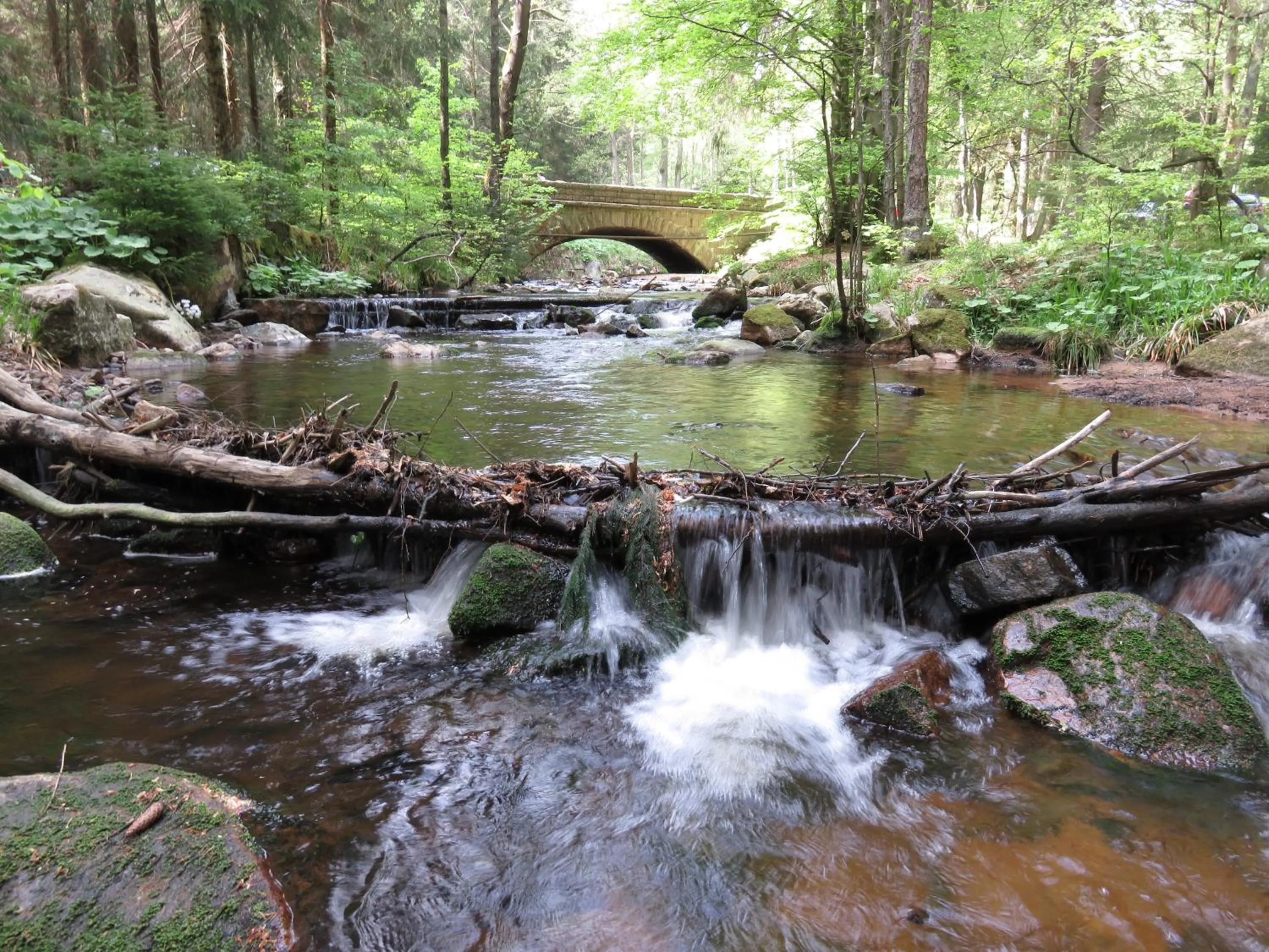 FeWo Kruse am Wurmberg