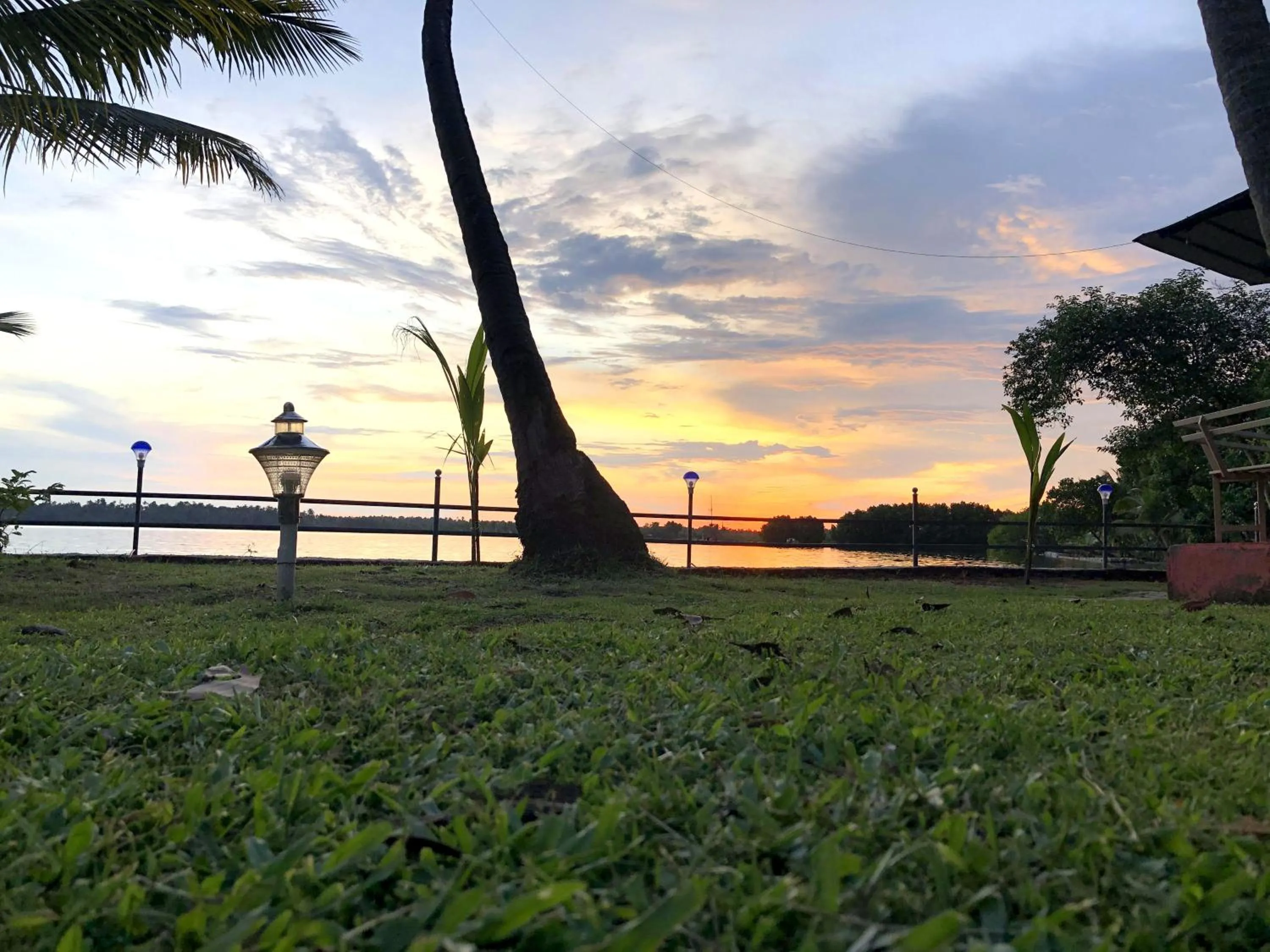 Natural landscape in Lake N River Resort Munroe Island