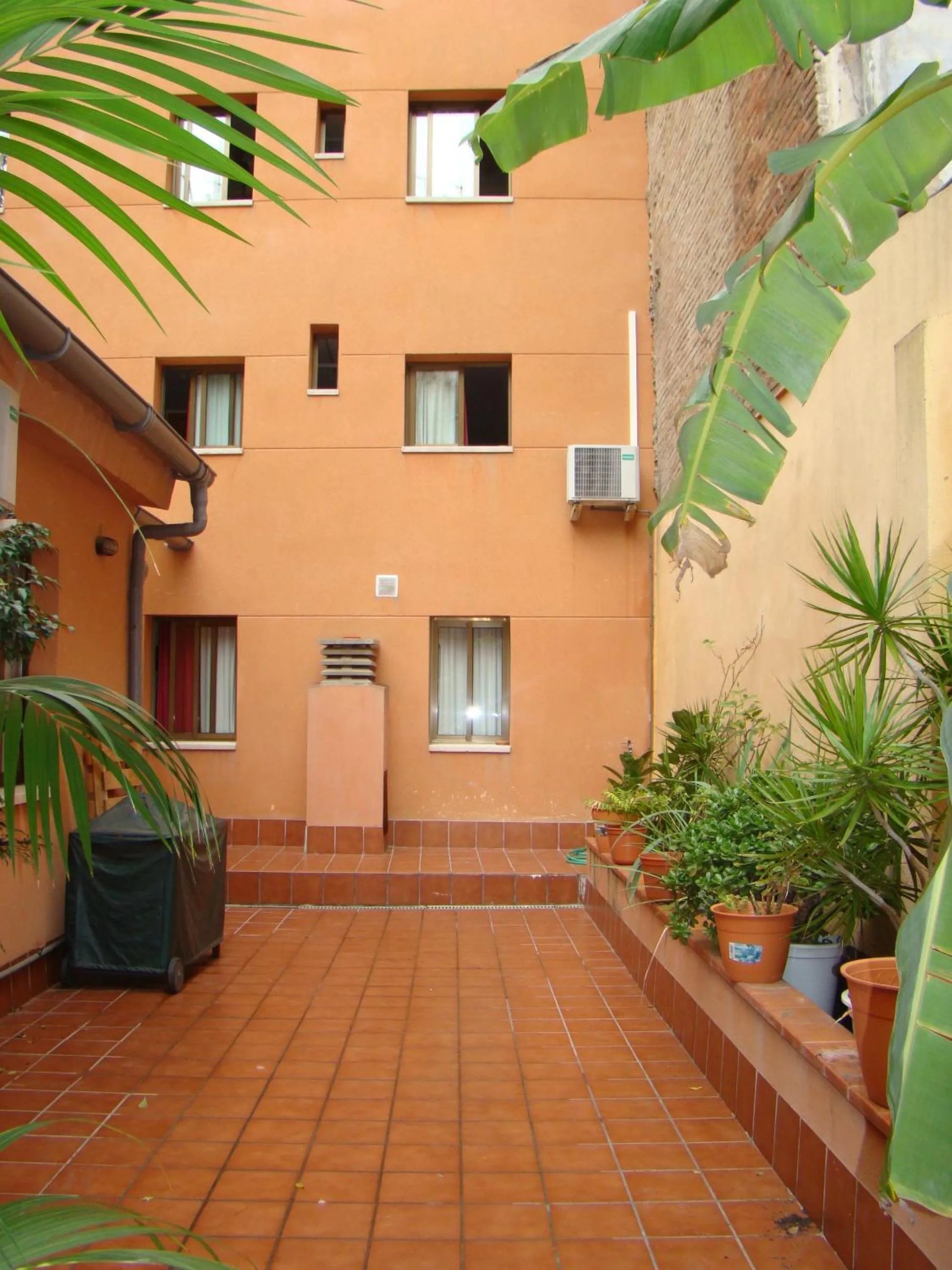 Garden in Hostal Baler