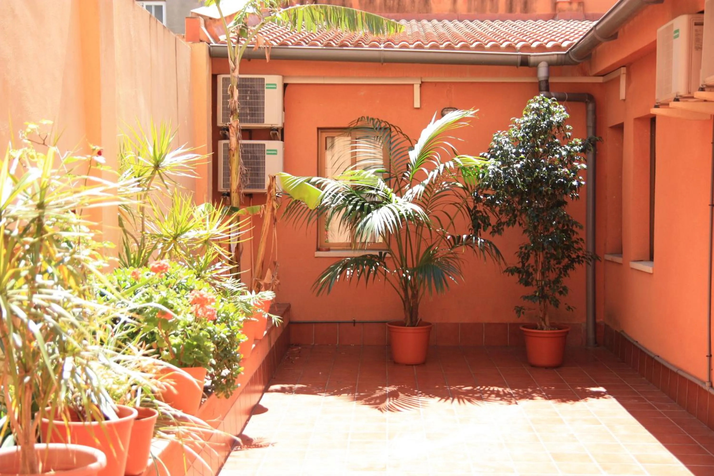 Garden in Hostal Baler