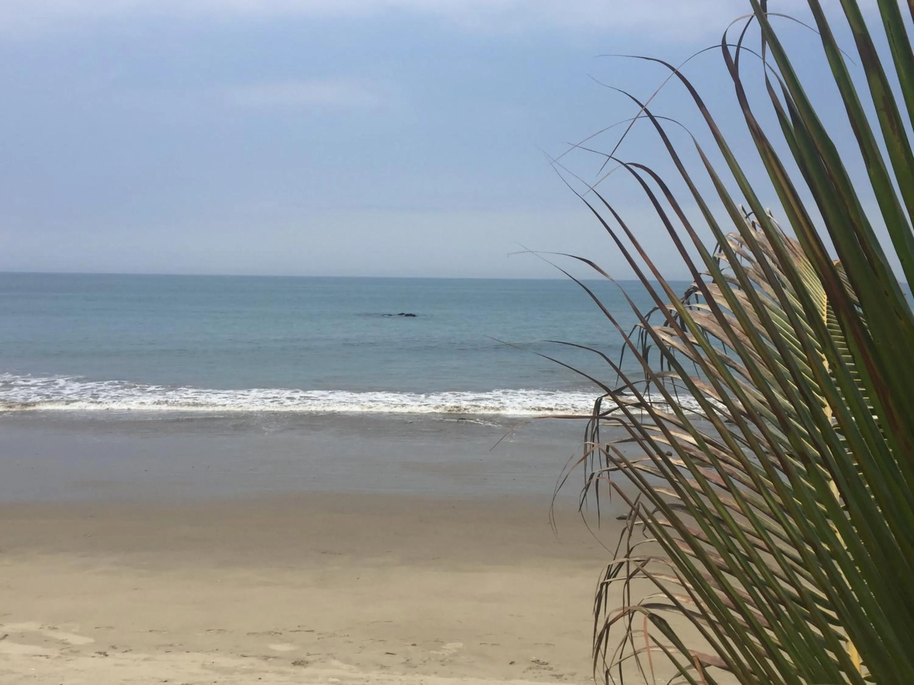 Beach in Baja Canoas Hotel