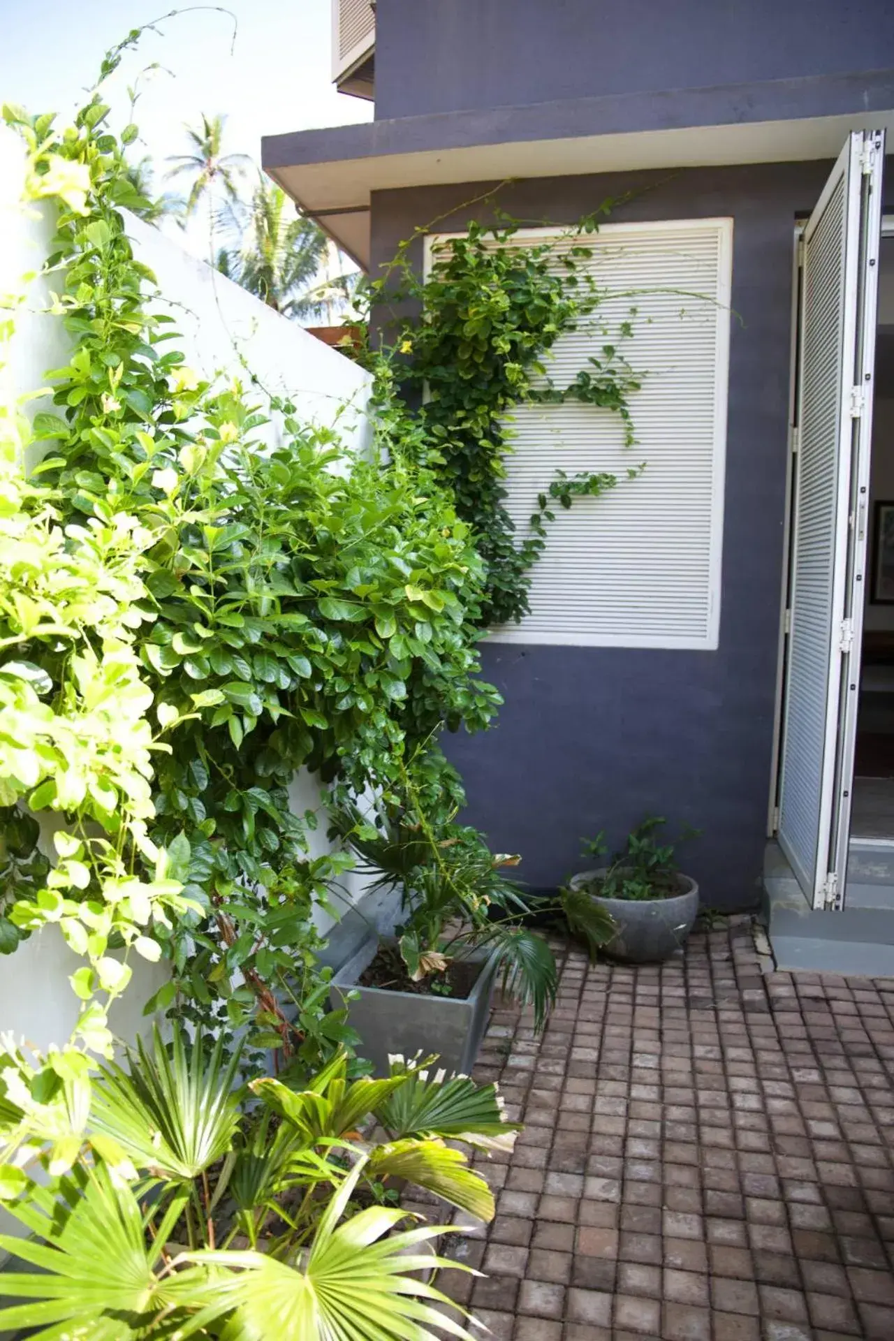 Deluxe Room with Private Courtyard with AC - single occupancy in Jasper House Deluxe Room with Private Courtyard with AC - single occupancy in Jasper House