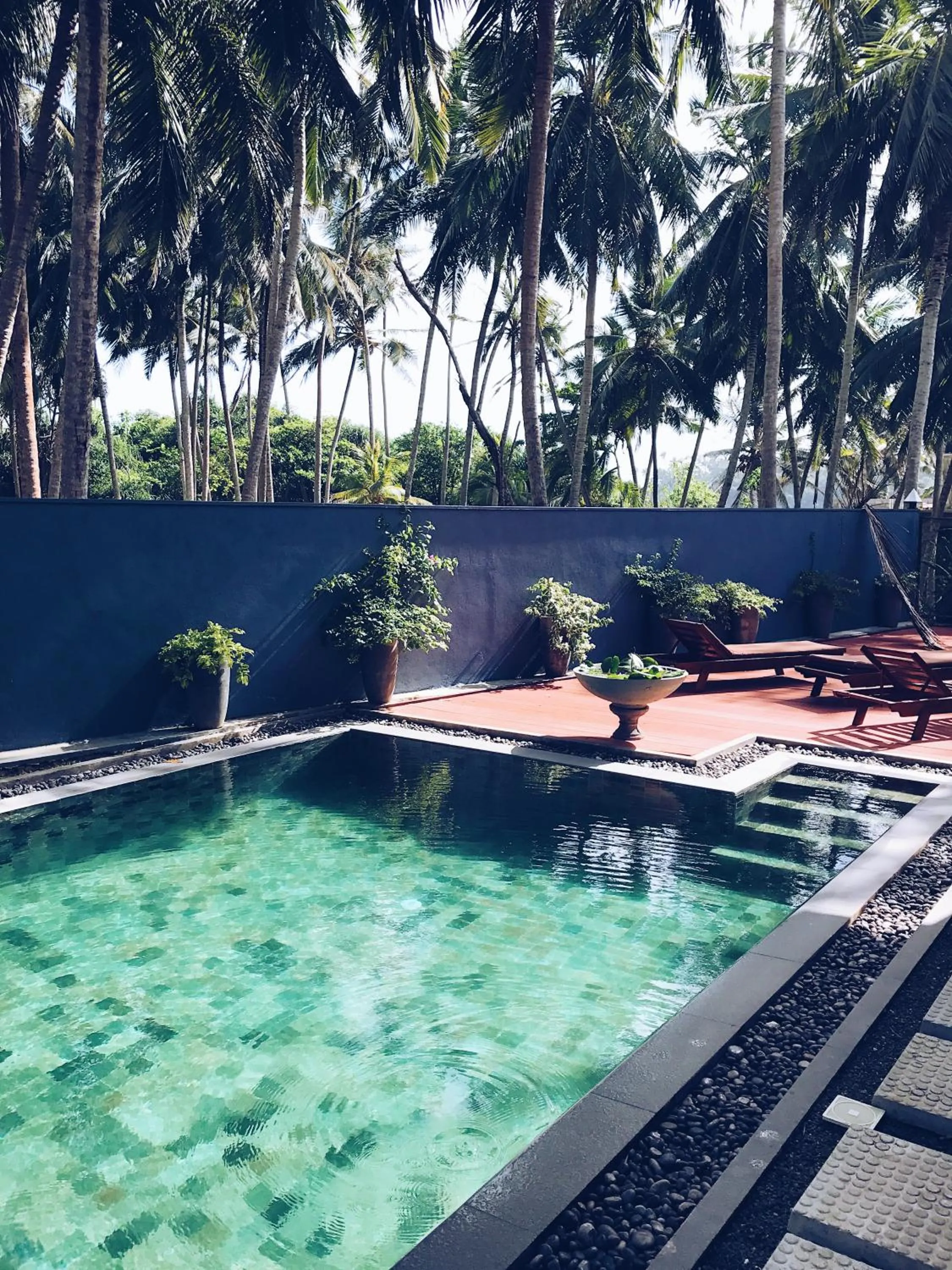 Swimming pool in Jasper House