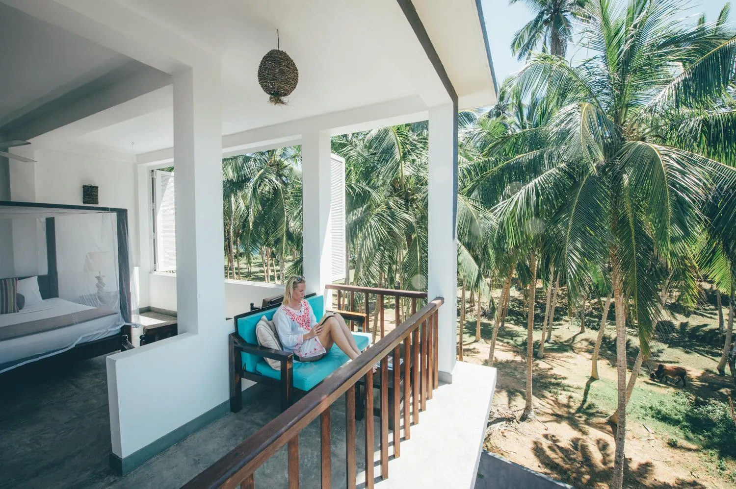 Garden view in Jasper House