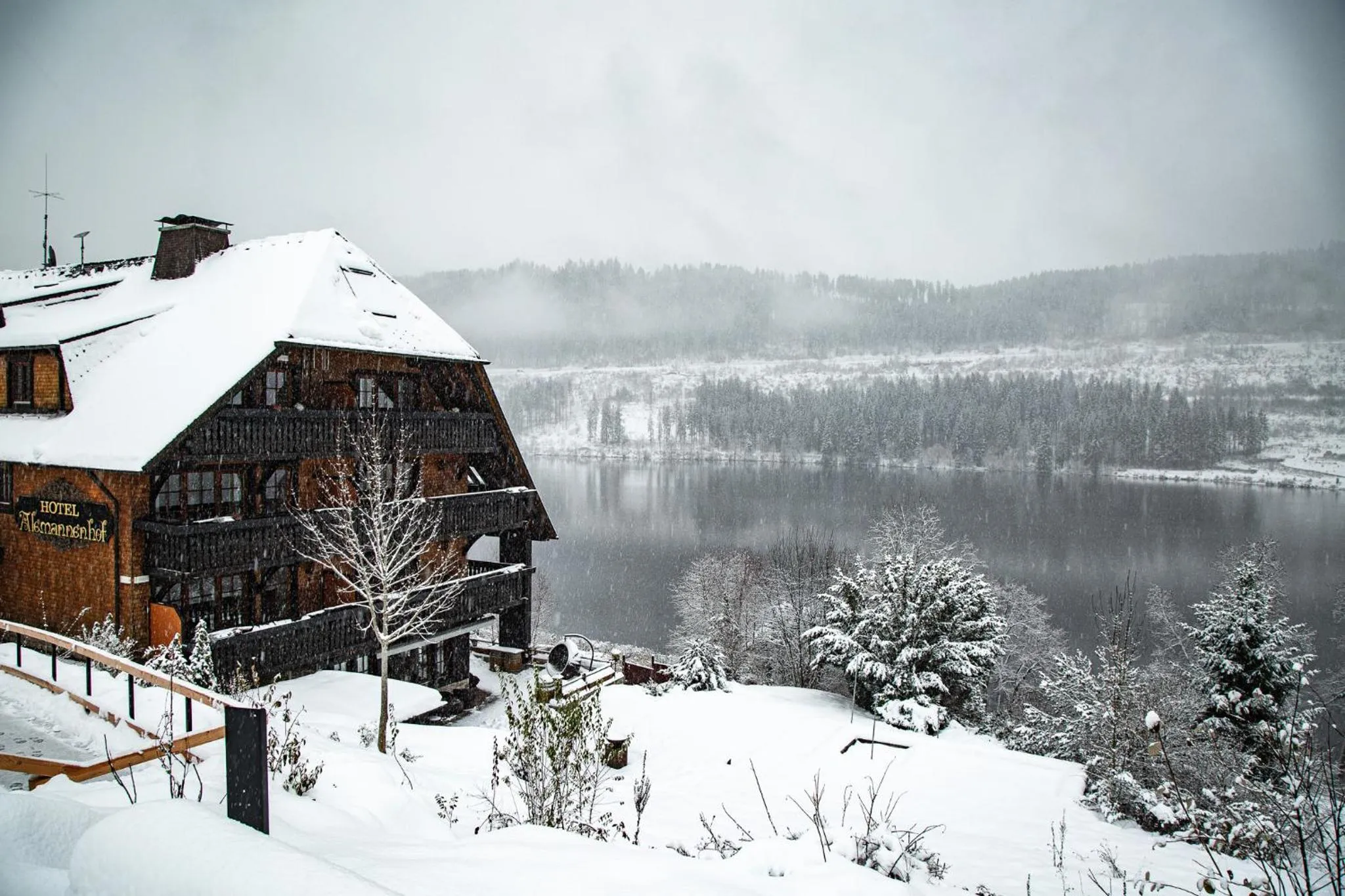 Lake view in Alemannenhof - Boutique Hotel am Titisee