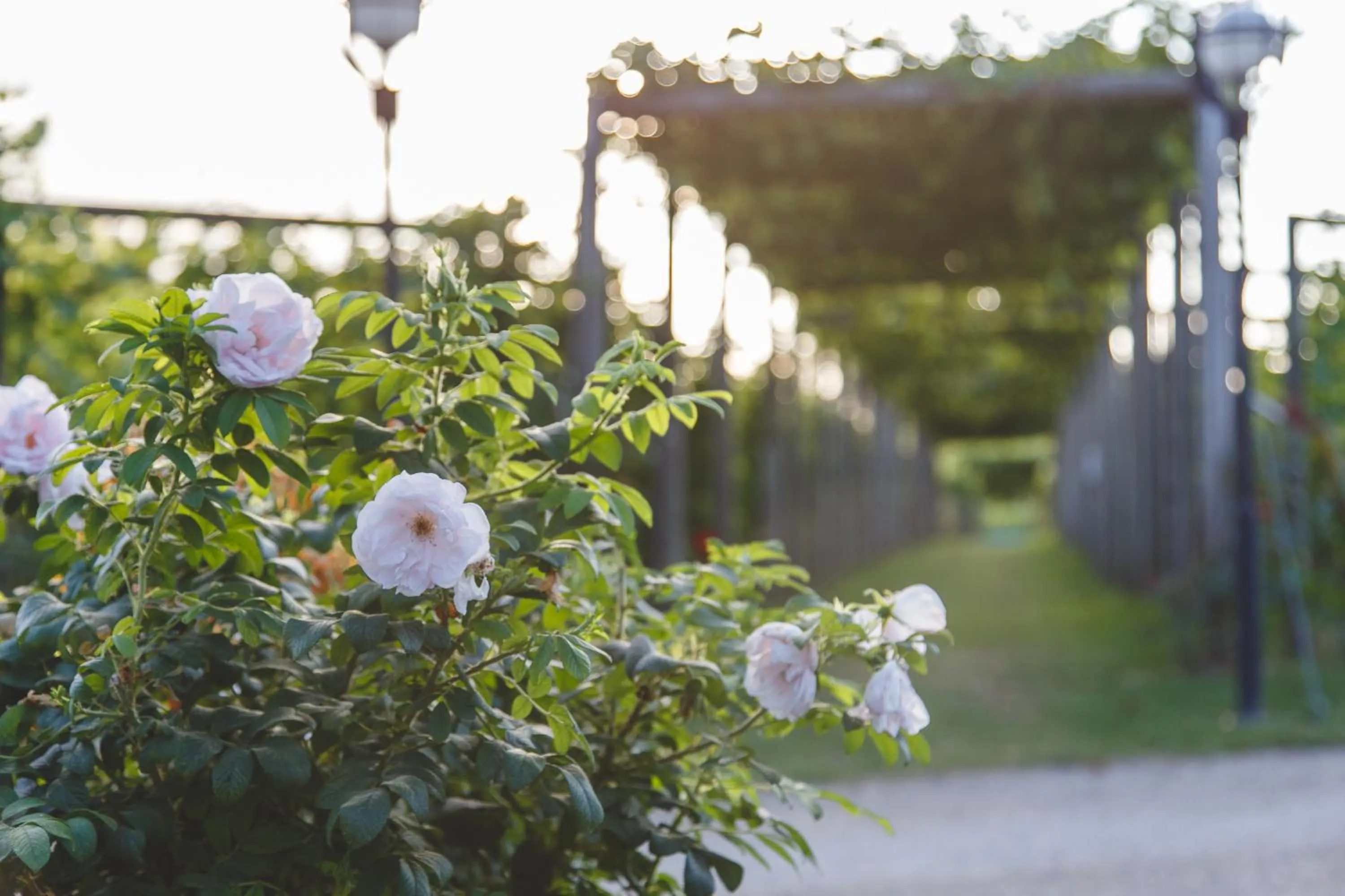 Flädie Mat & Vingård