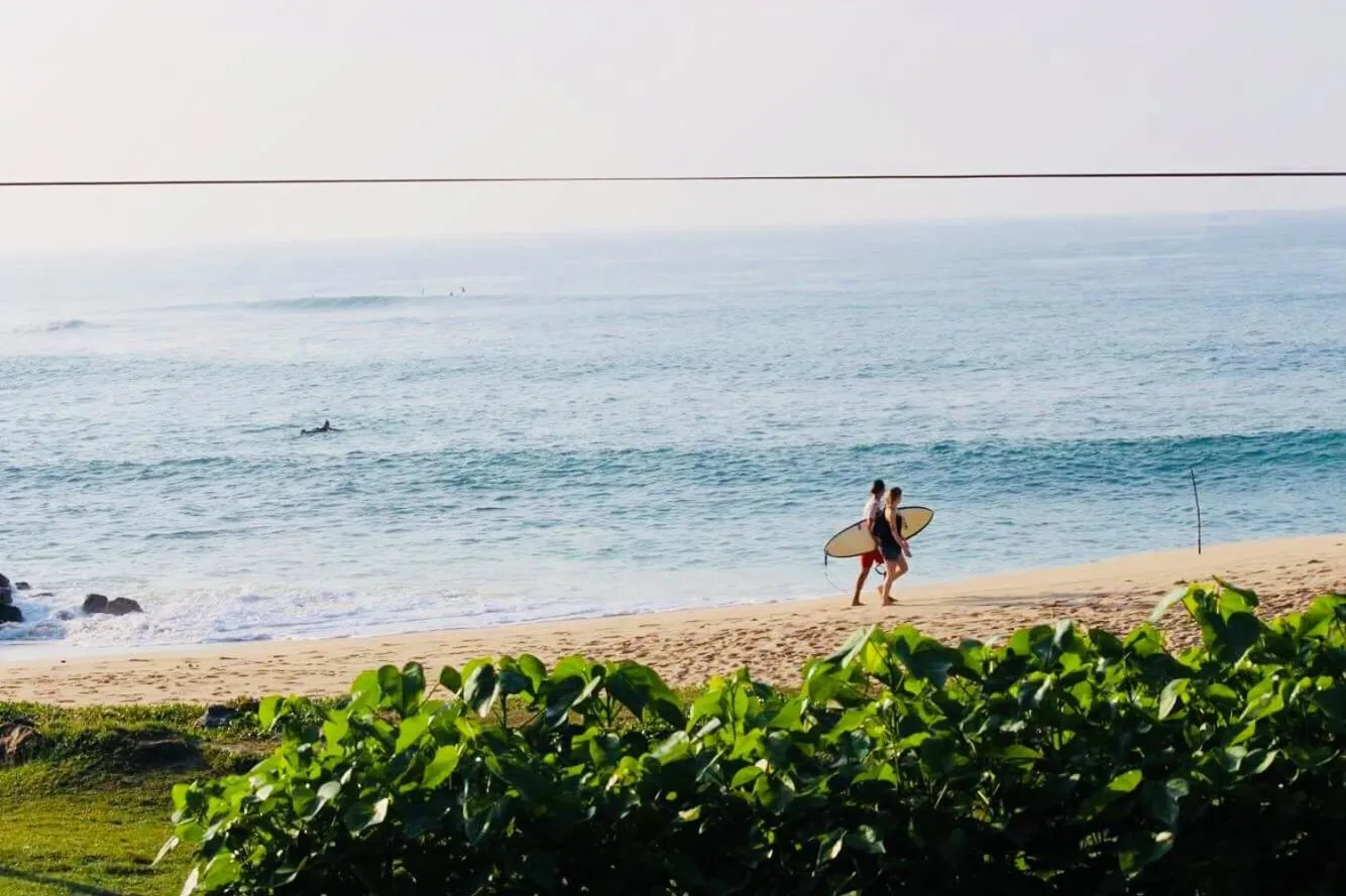 Hot Tuna Surfers Rest Midigama