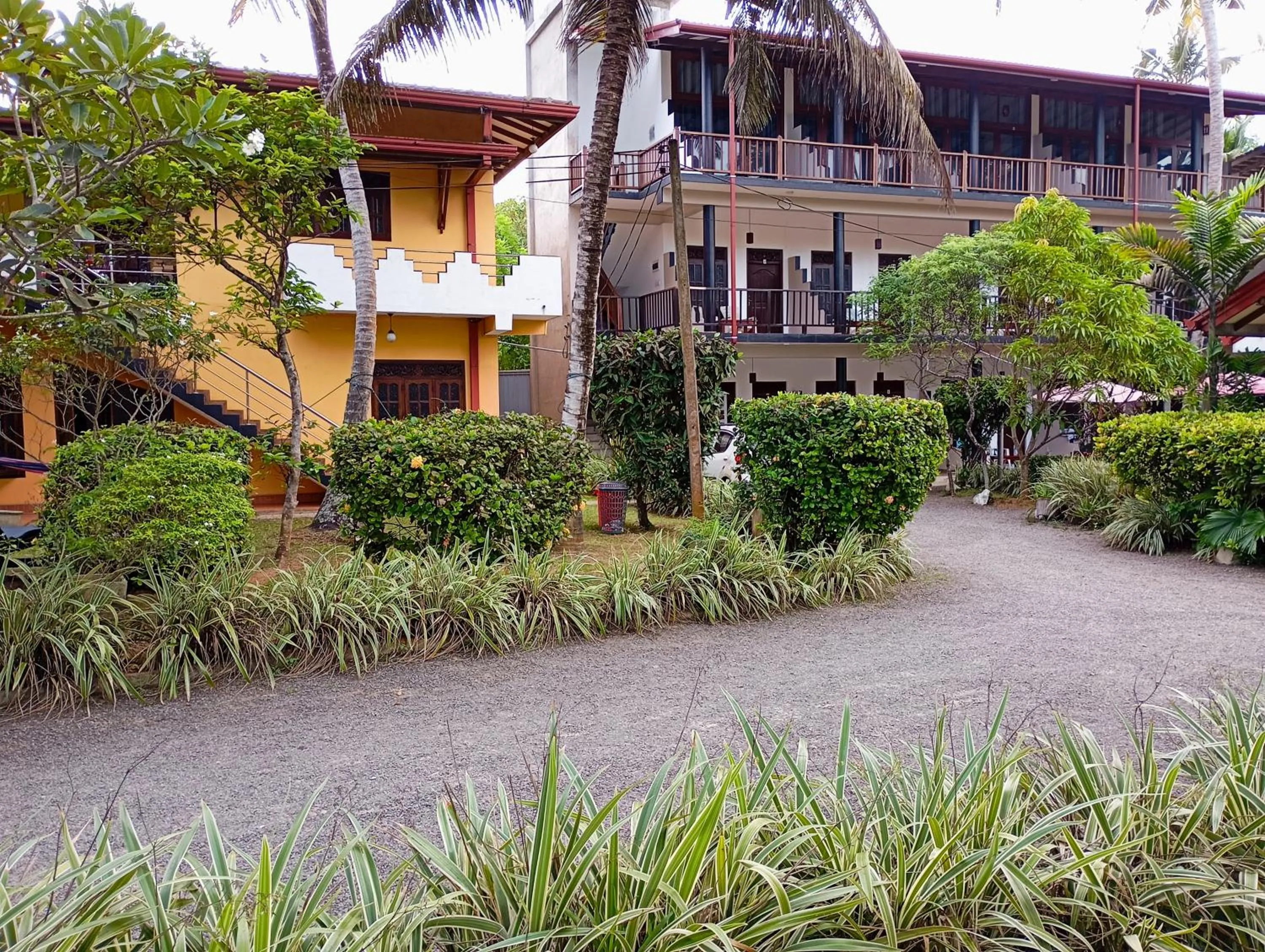 Property building in Hot Tuna Surfers Rest Midigama