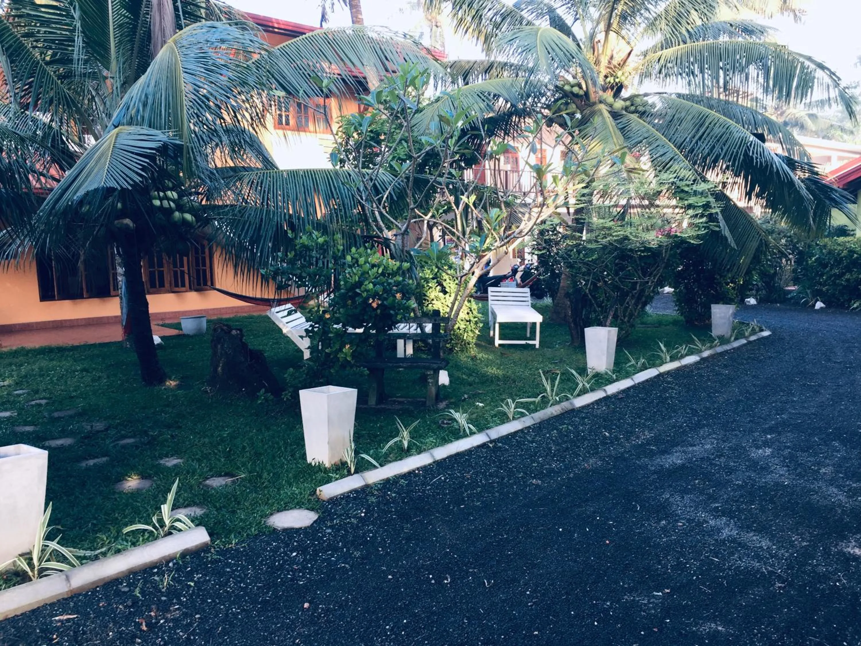 Hot Tuna Surfers Rest Midigama