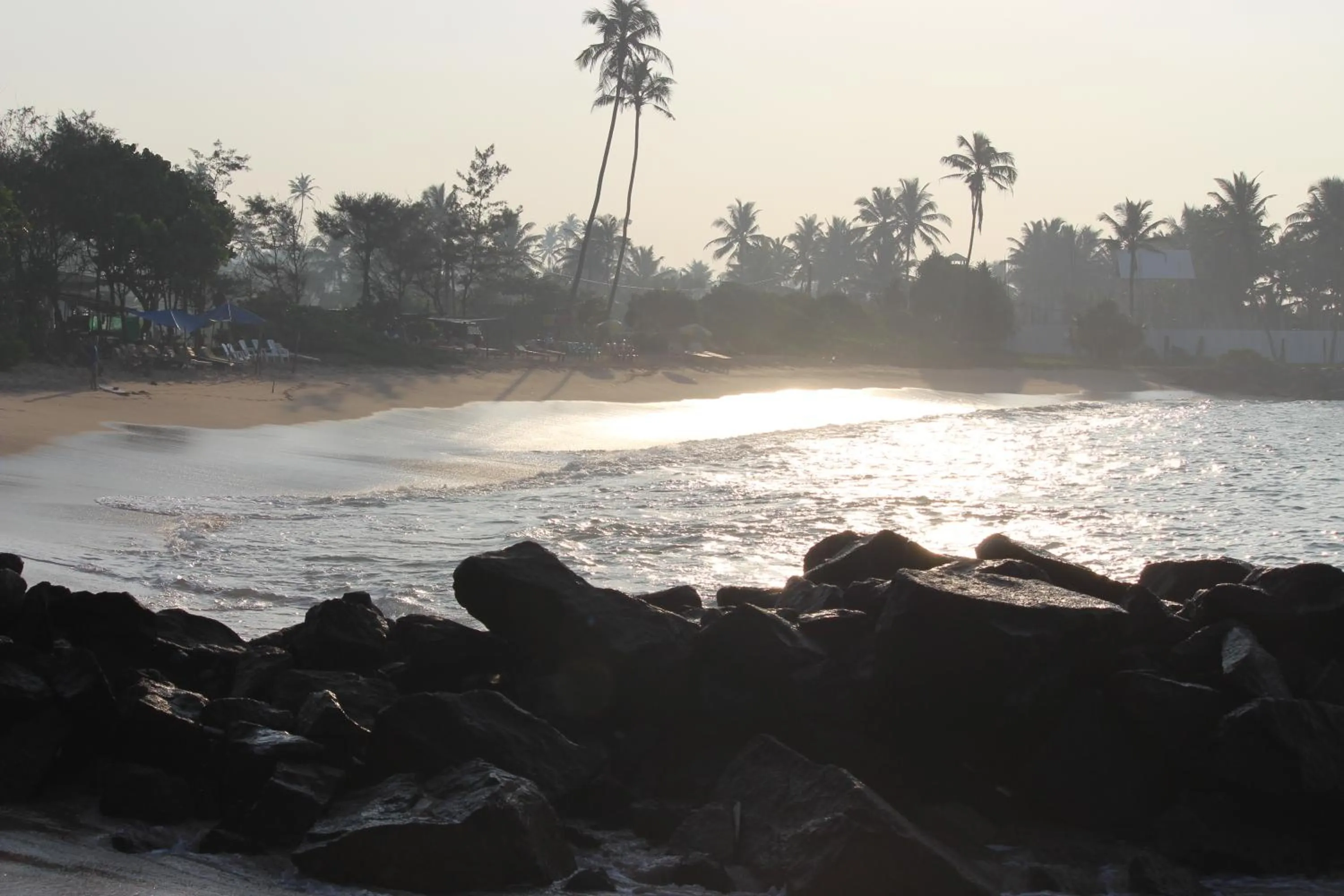 Hot Tuna Surfers Rest Midigama