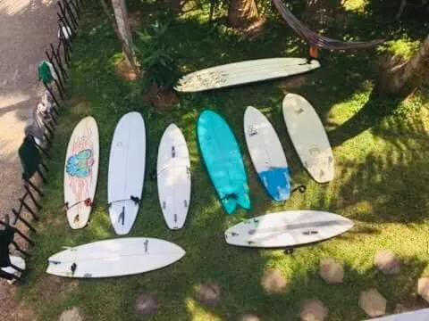 Hot Tuna Surfers Rest Midigama