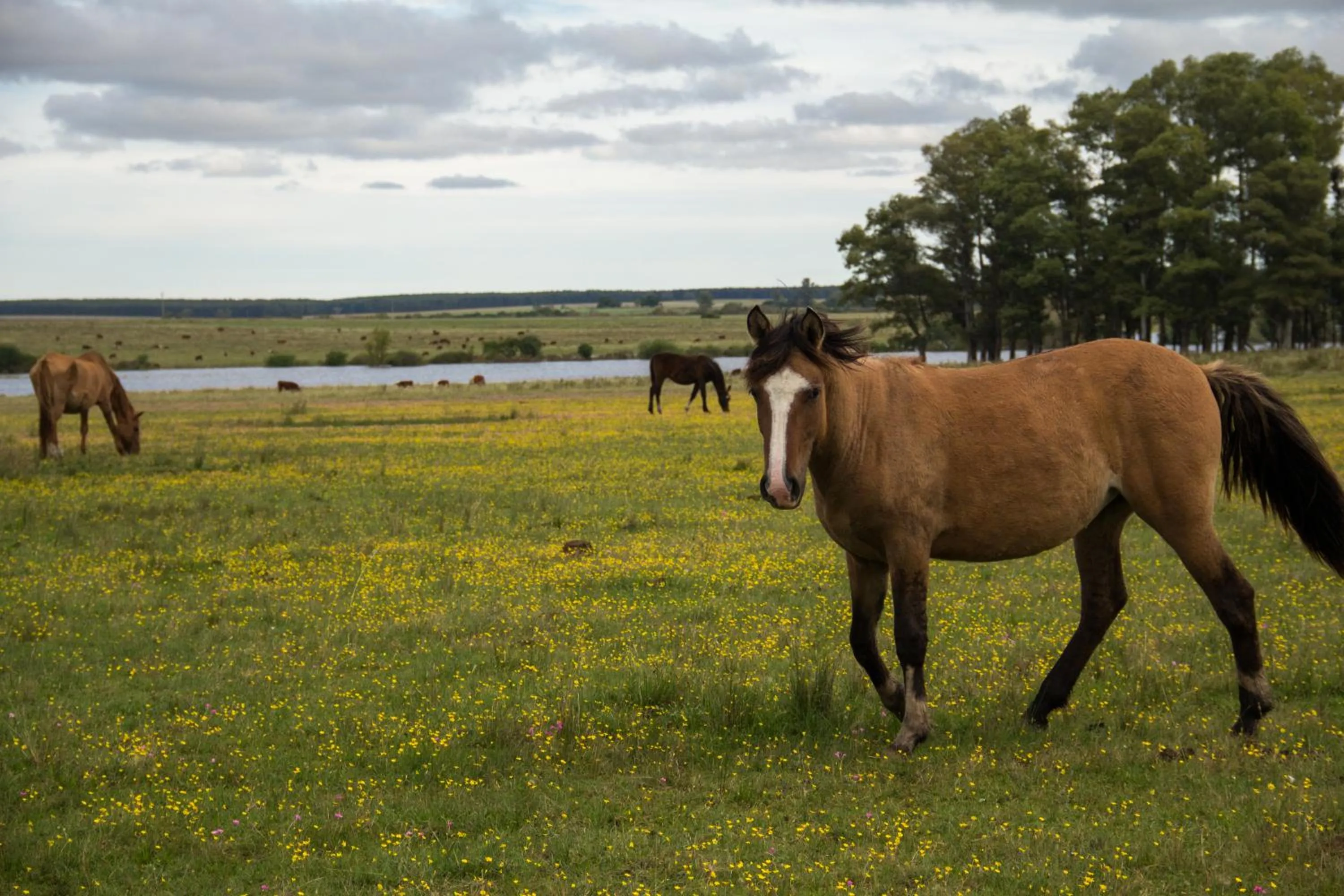 Landmark view in Salinas del Almiron Resort Termal