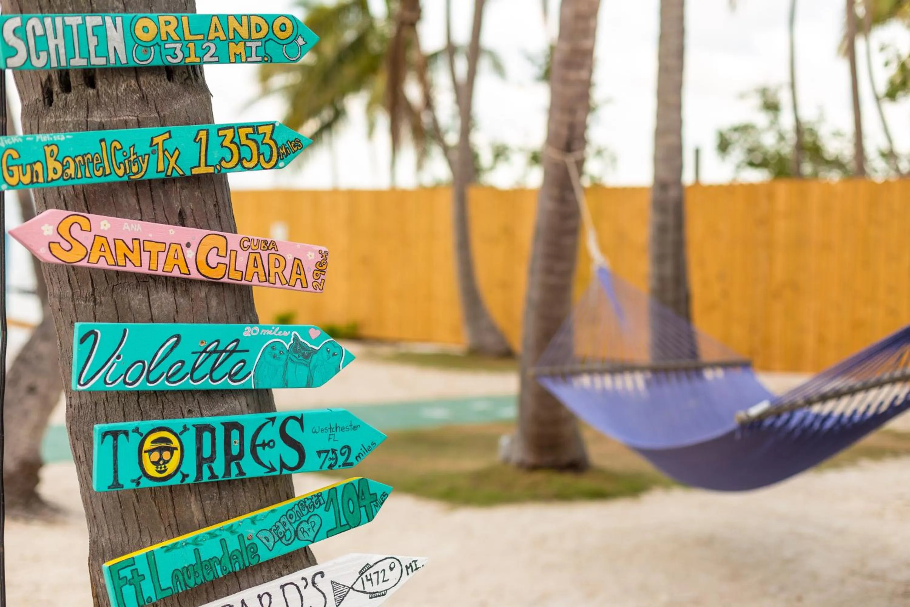 Beach in La Jolla Resort