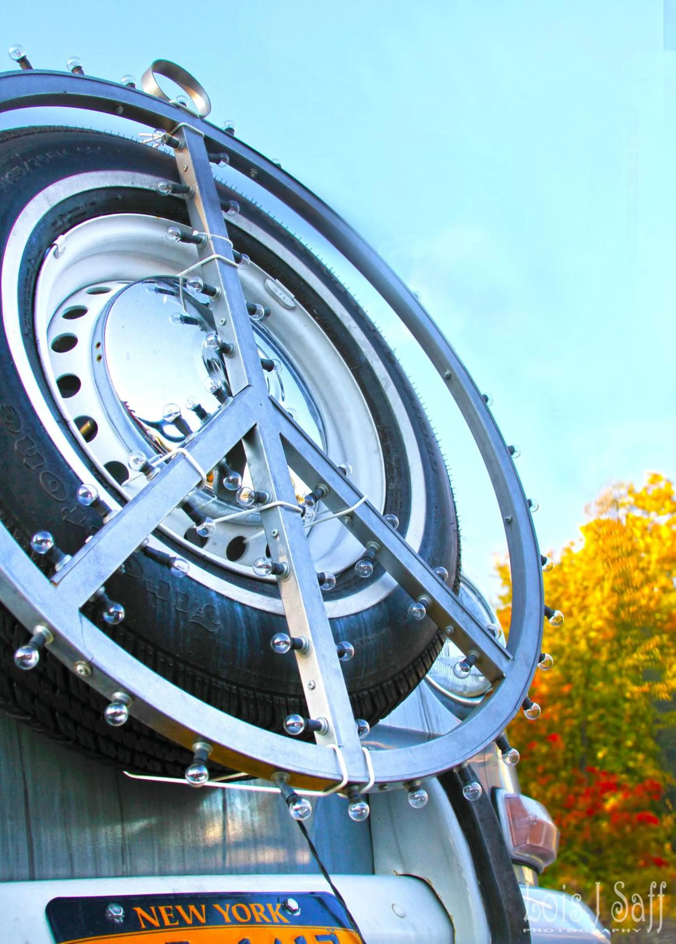 Garden in Hotel Dylan