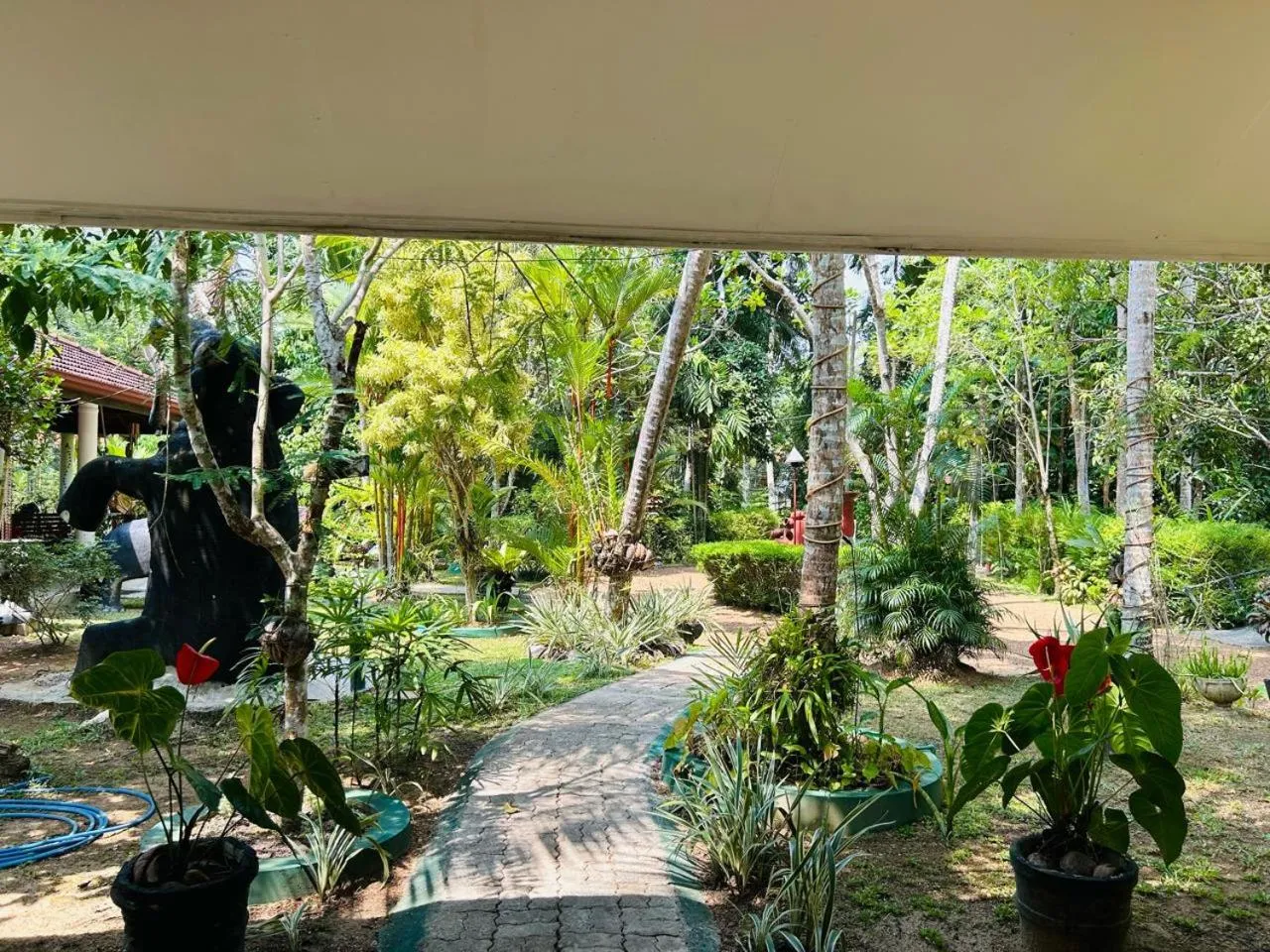Garden view in Traum Villa