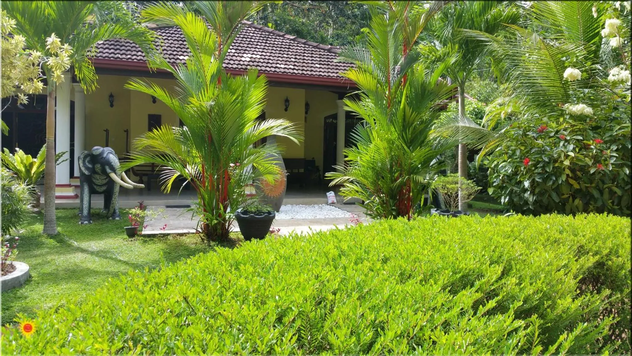 Garden in Traum Villa