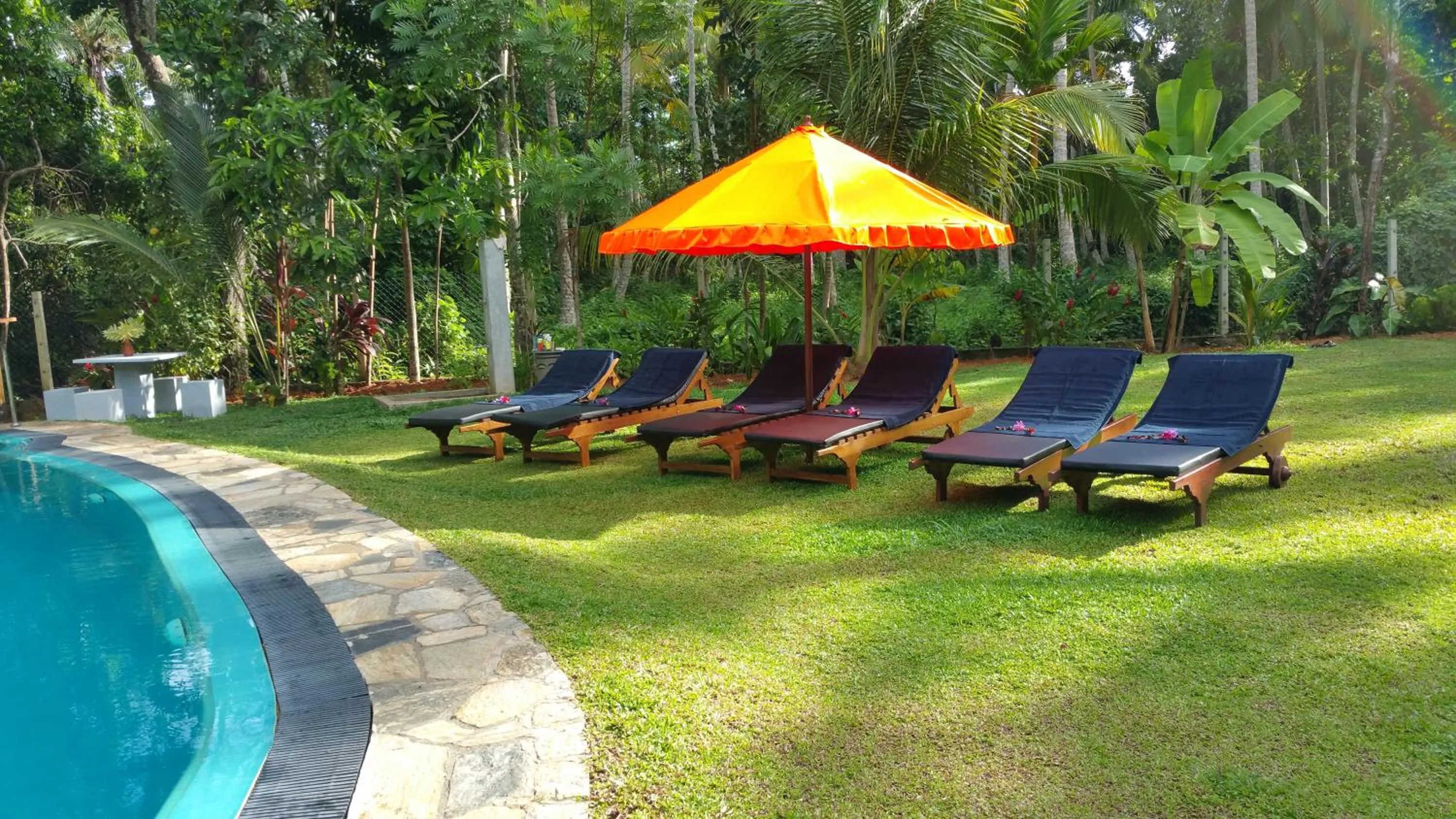 Garden in Traum Villa