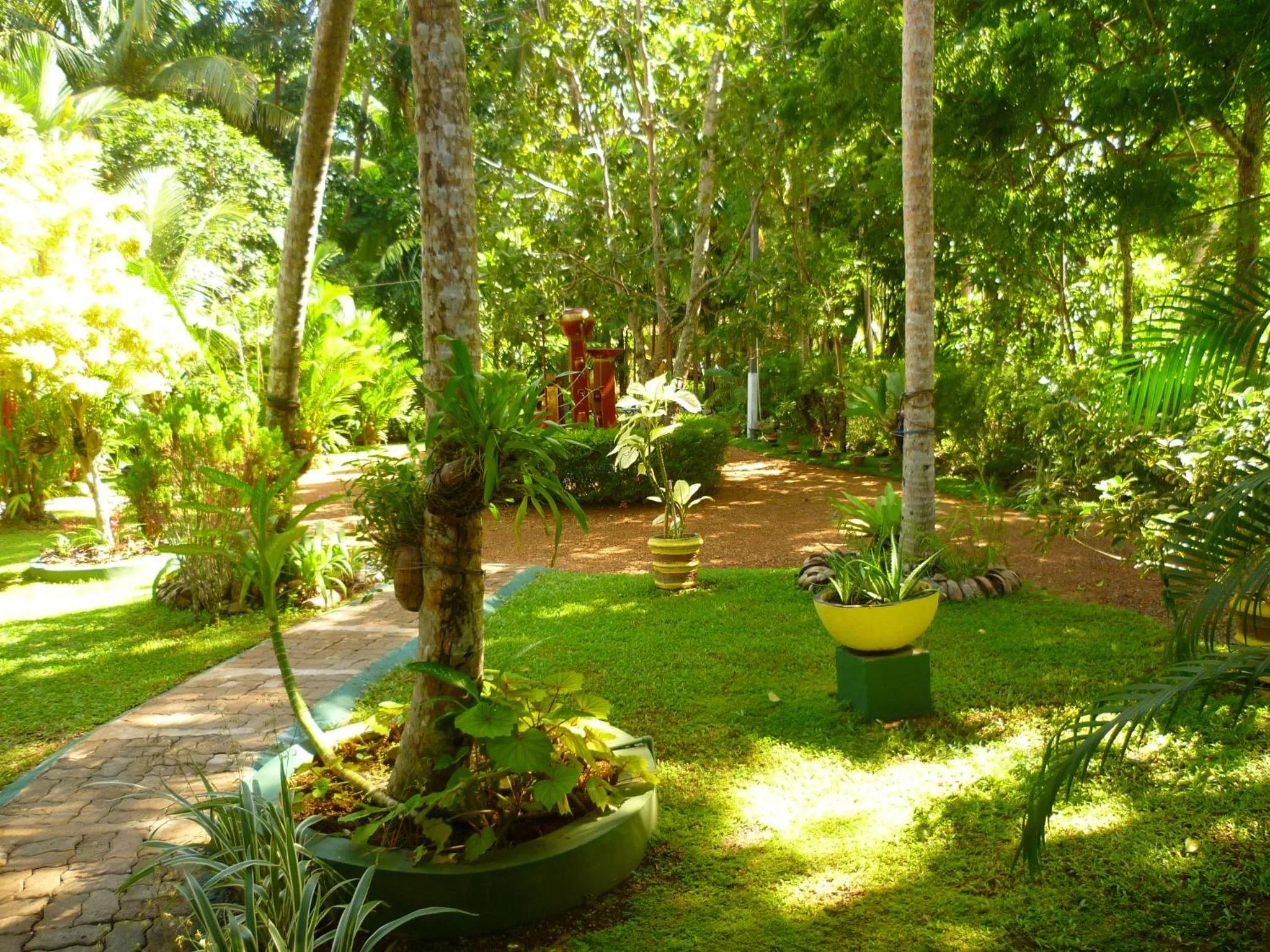 Garden in Traum Villa